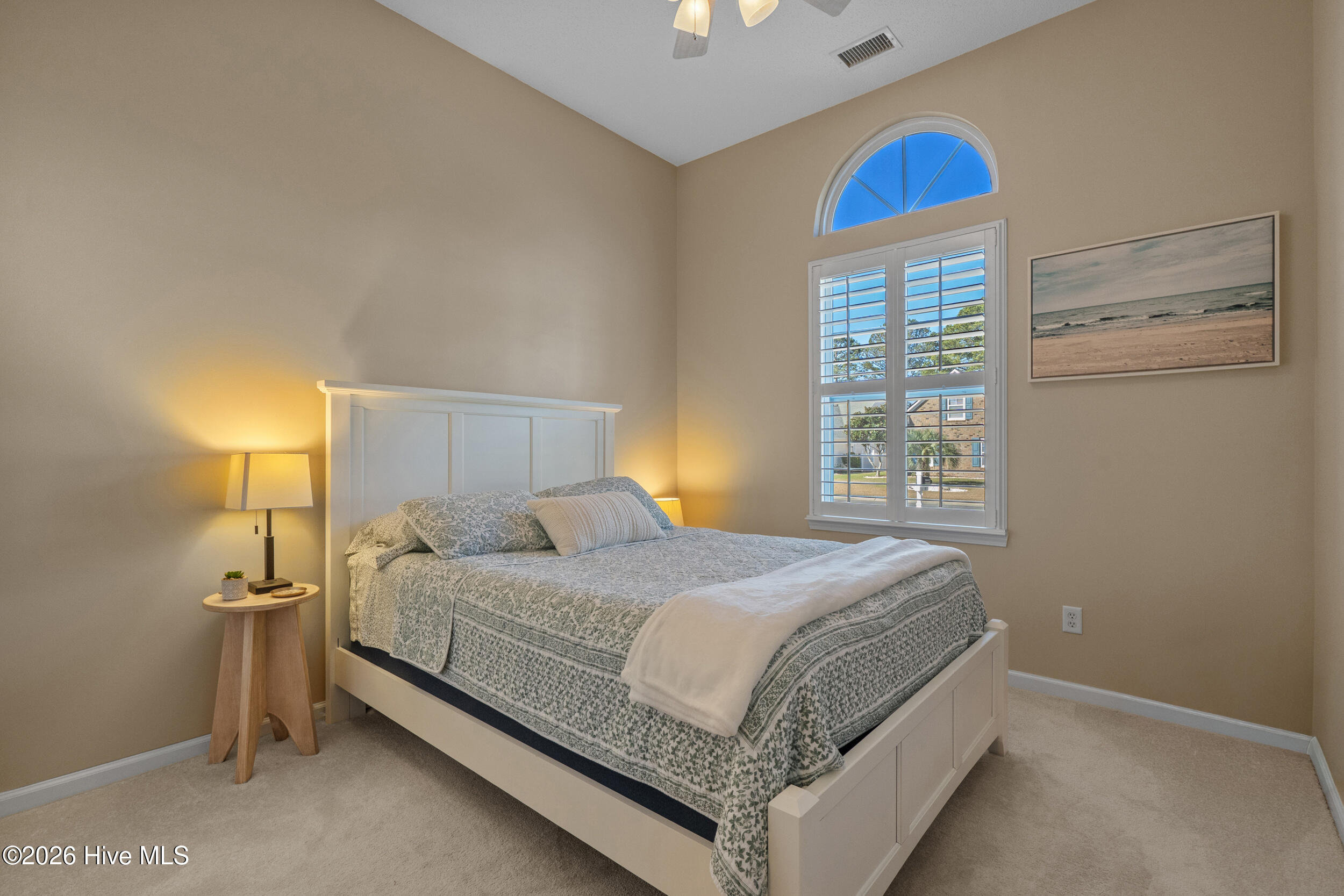 100562185 | Photo 21