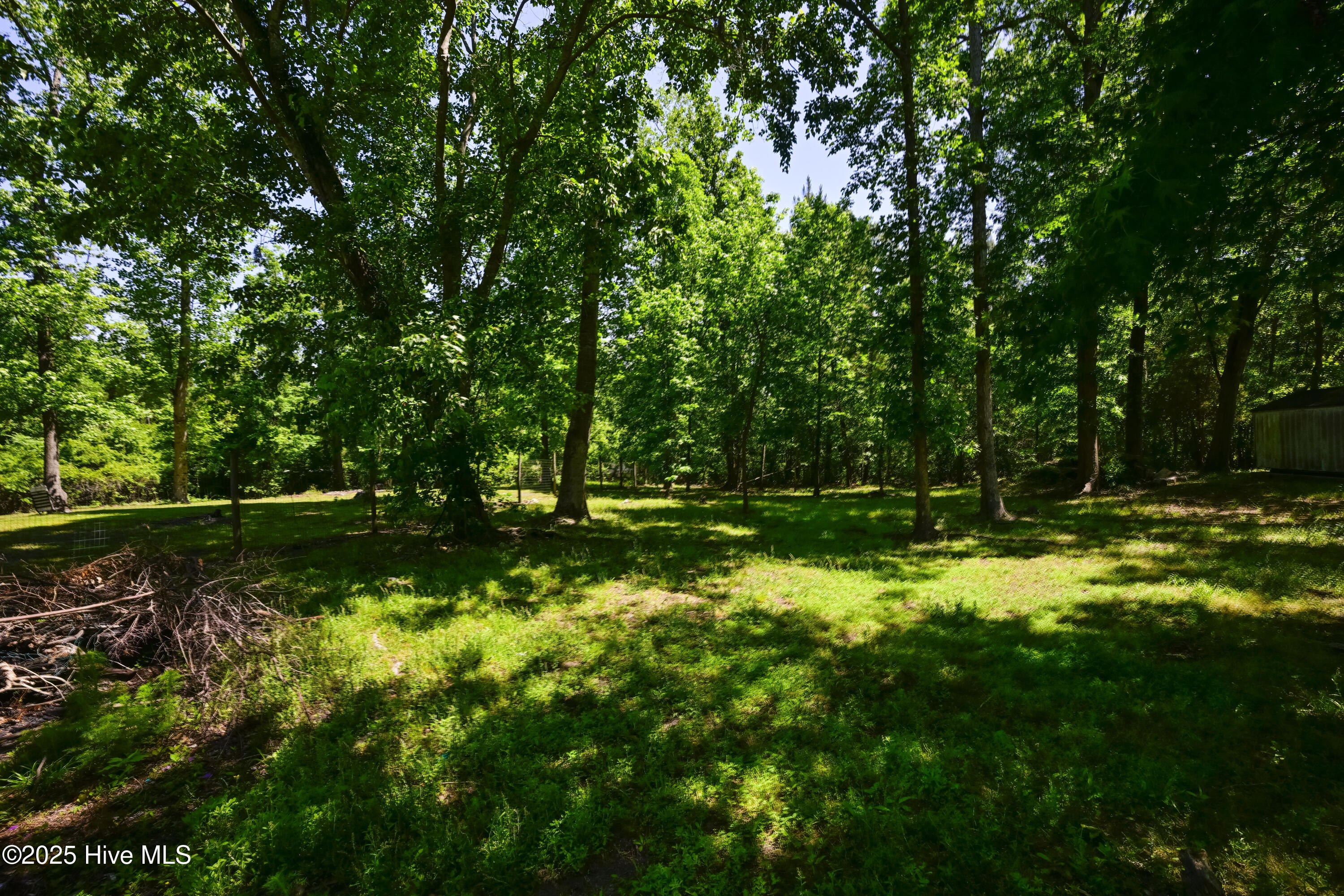 100523766 | Photo 88