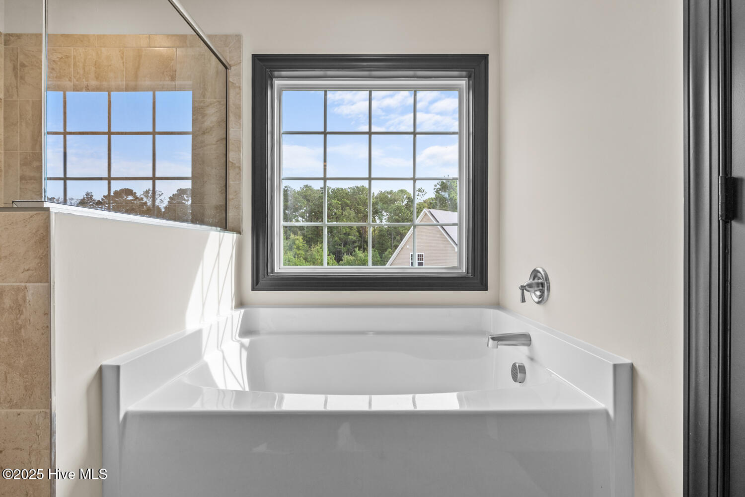 100536323 | Photo 32