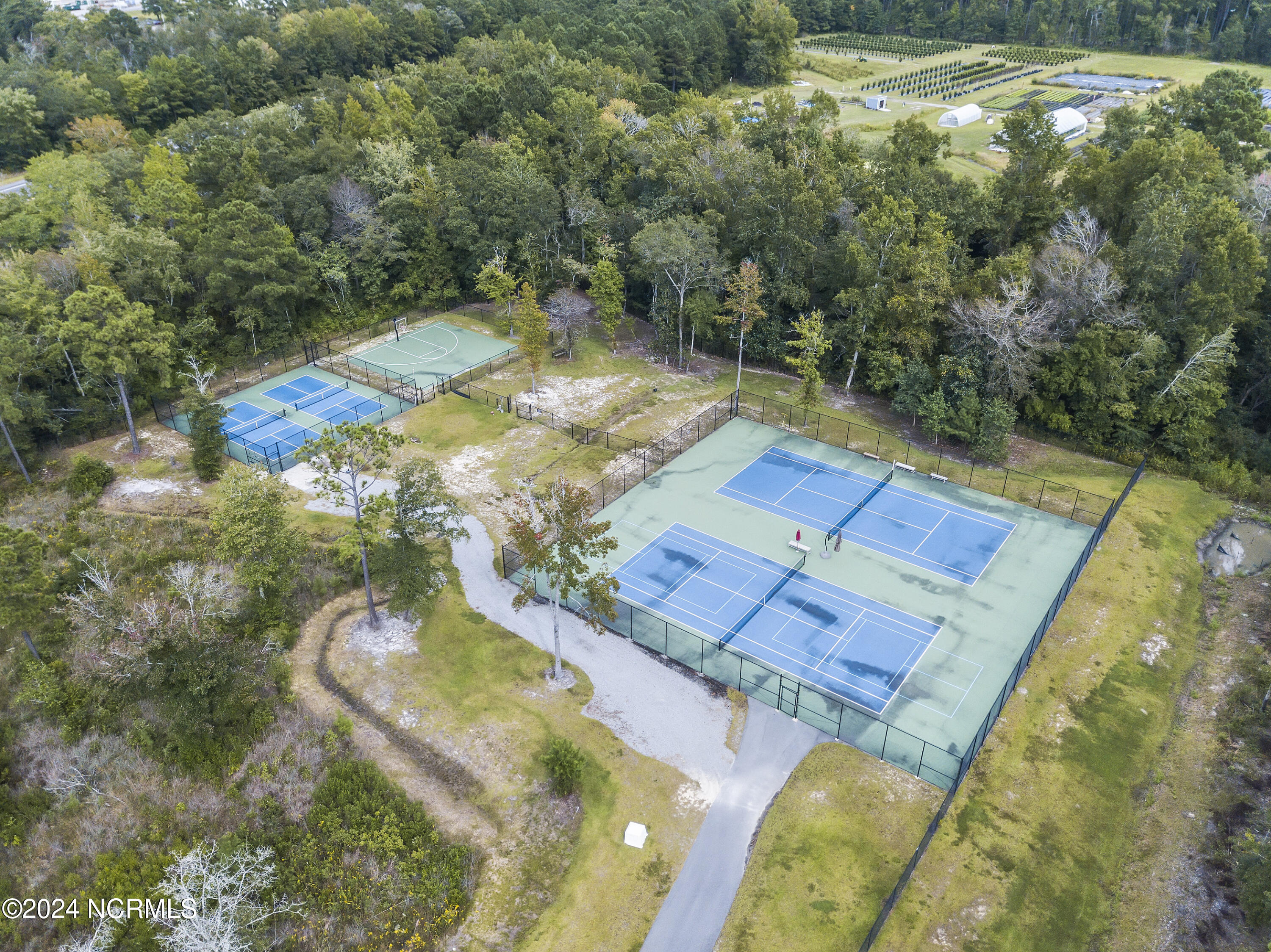 100554009 | Photo 48