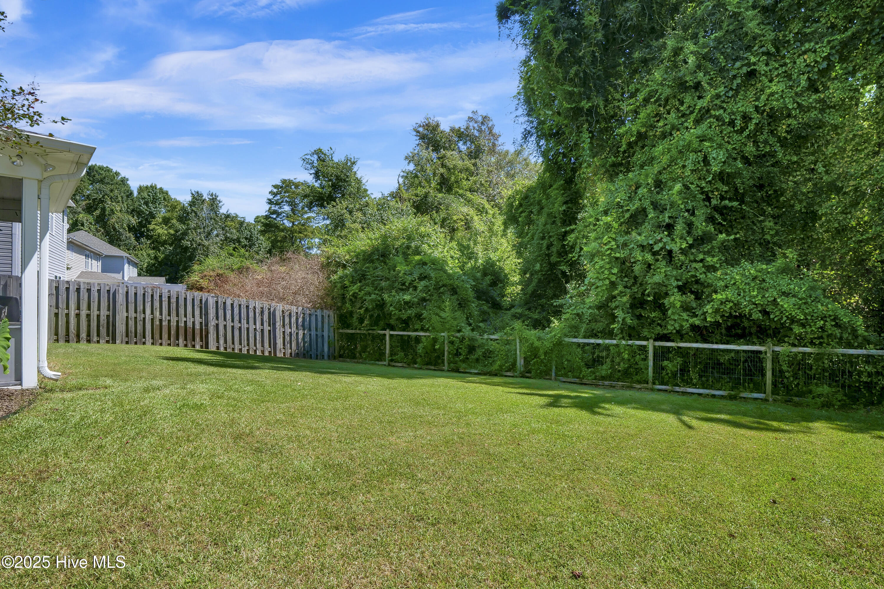 100529141 | Photo 27