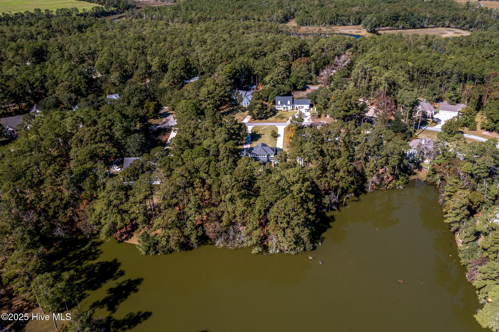 100540412 | Photo 71