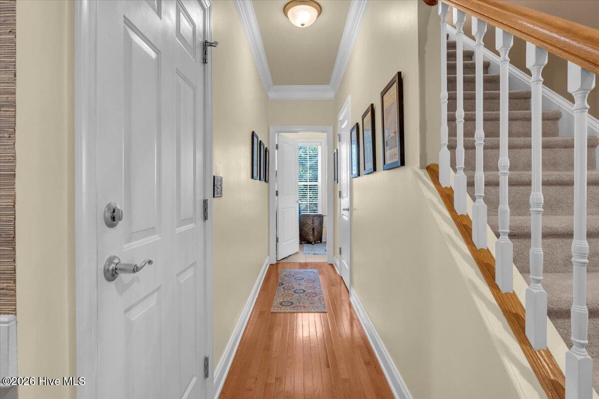 100548229 | Photo 22