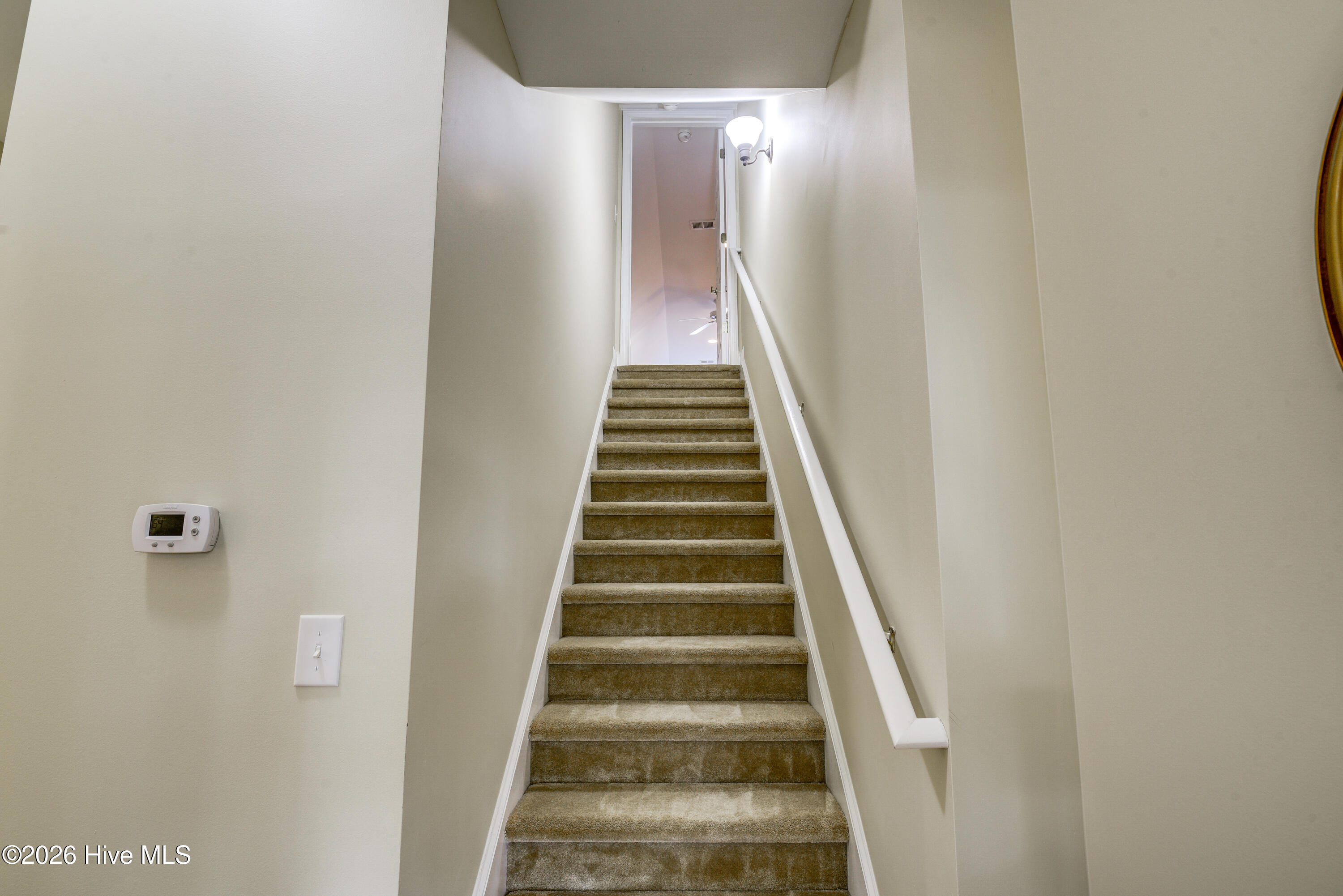 100554732 | Photo 27