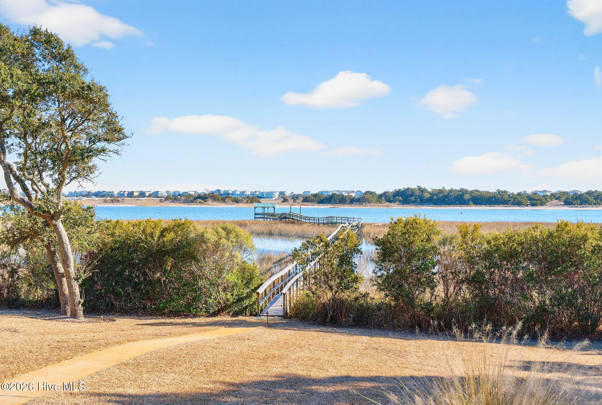 100555125 | Photo 62