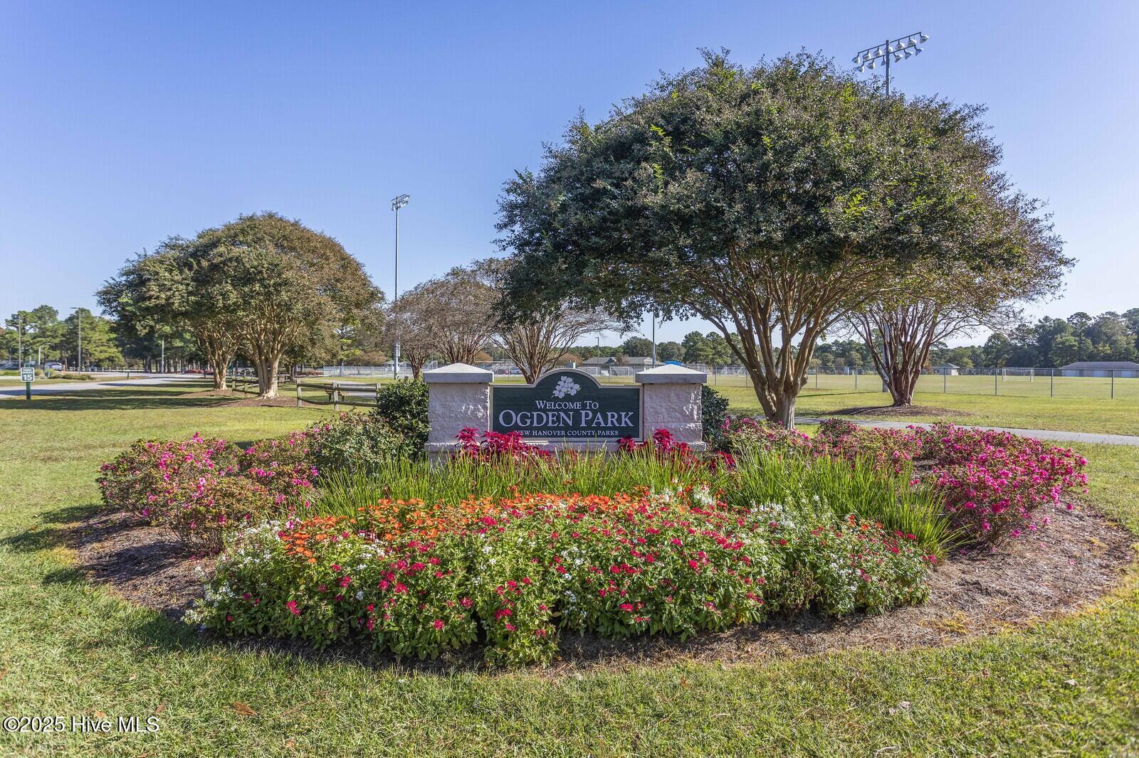 100479691 | Photo 31