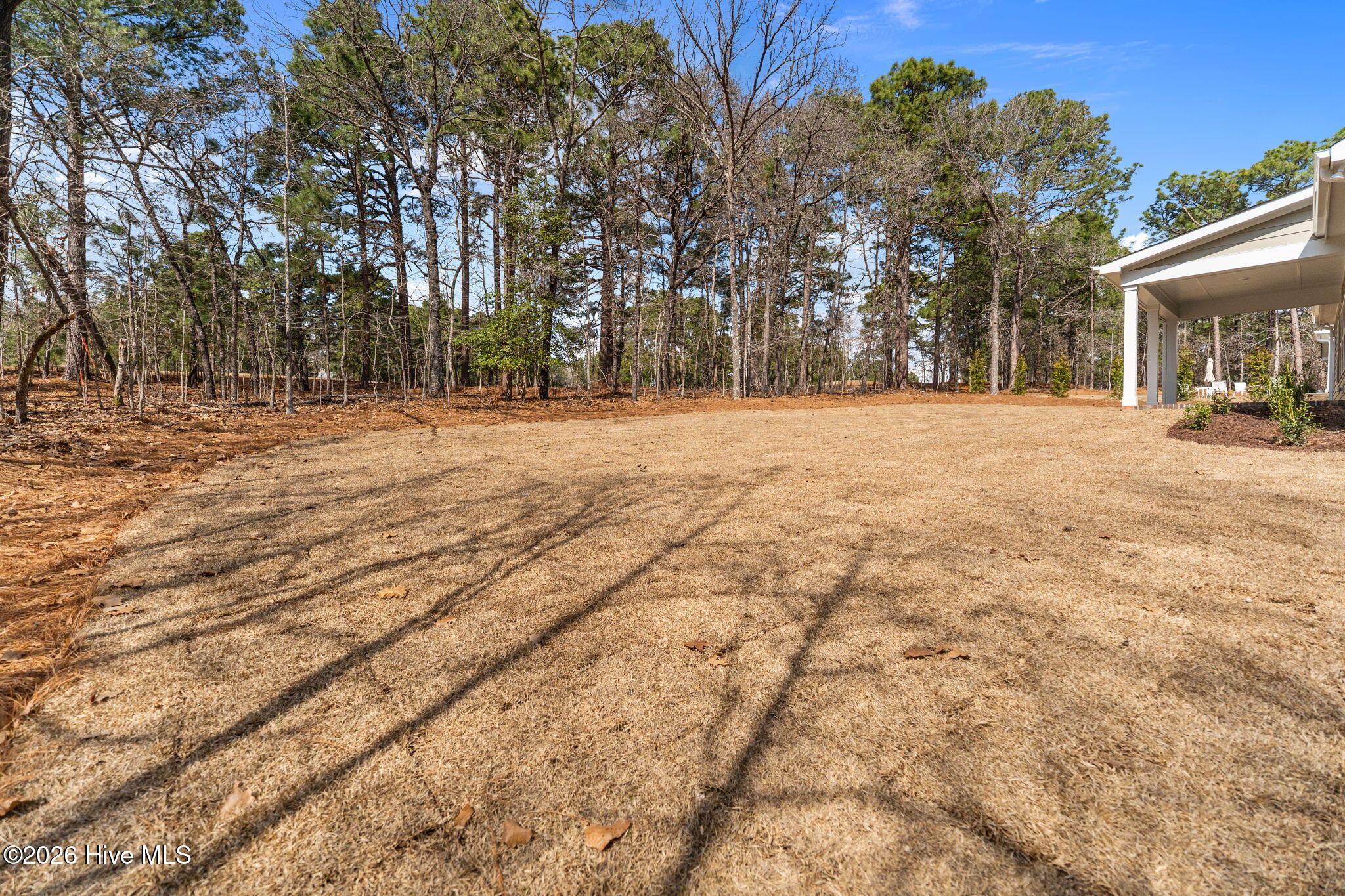 180 Longleaf Drive