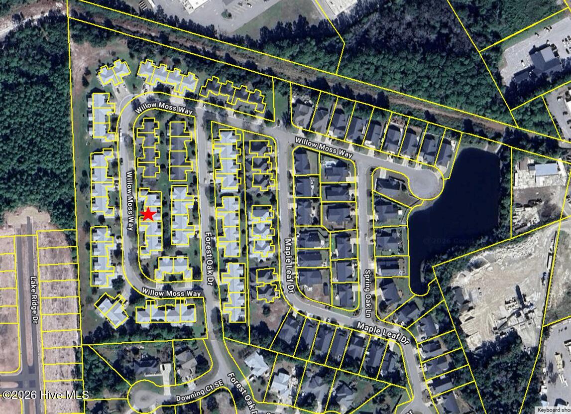 100565781 | Photo 33