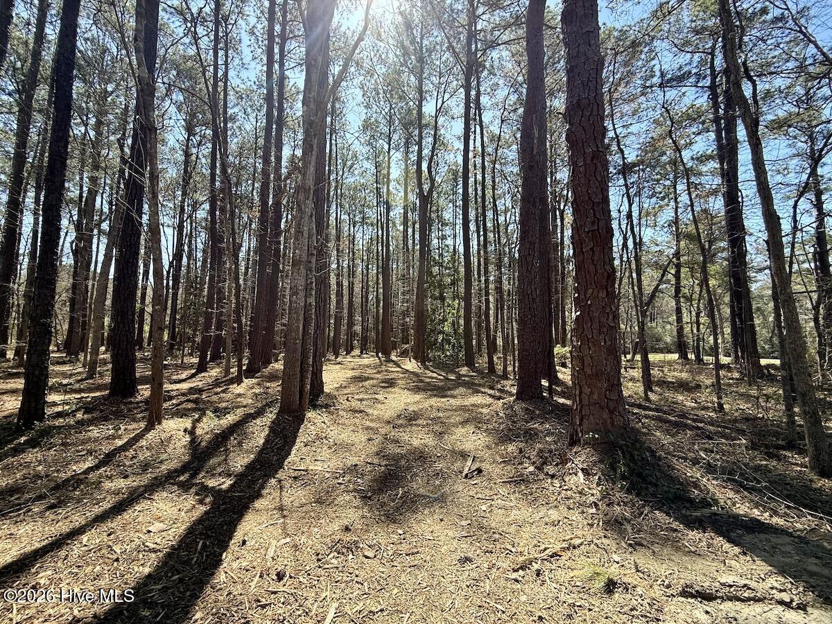 0 Lot 2 Creek Place Road,Arapahoe