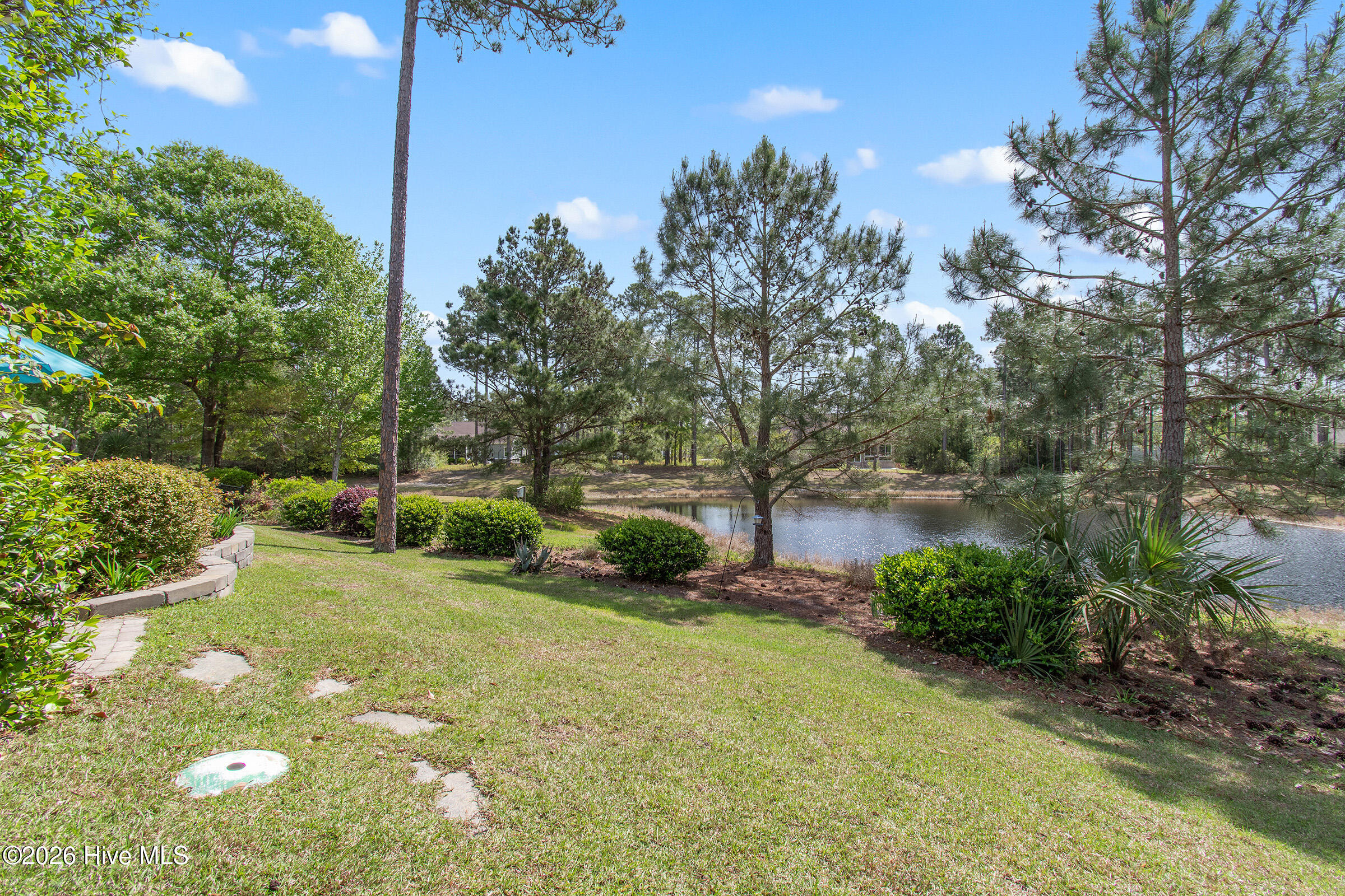 100555309 | Photo 39