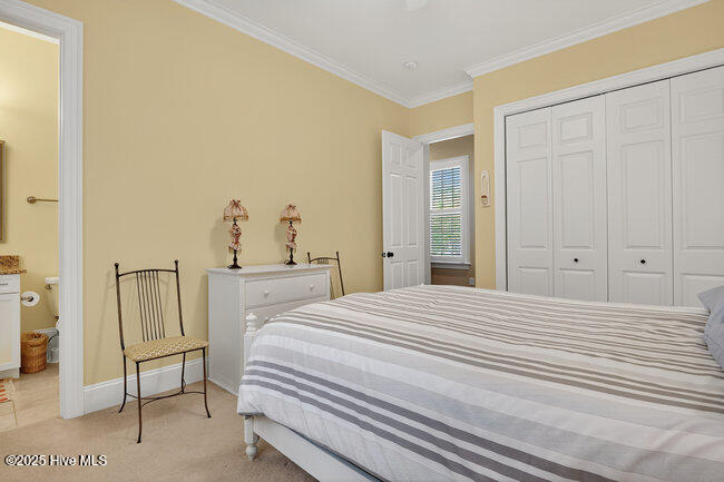 100527841 | Photo 17