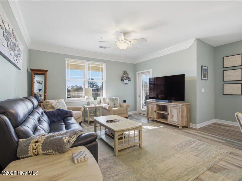 100549791 | Photo 11