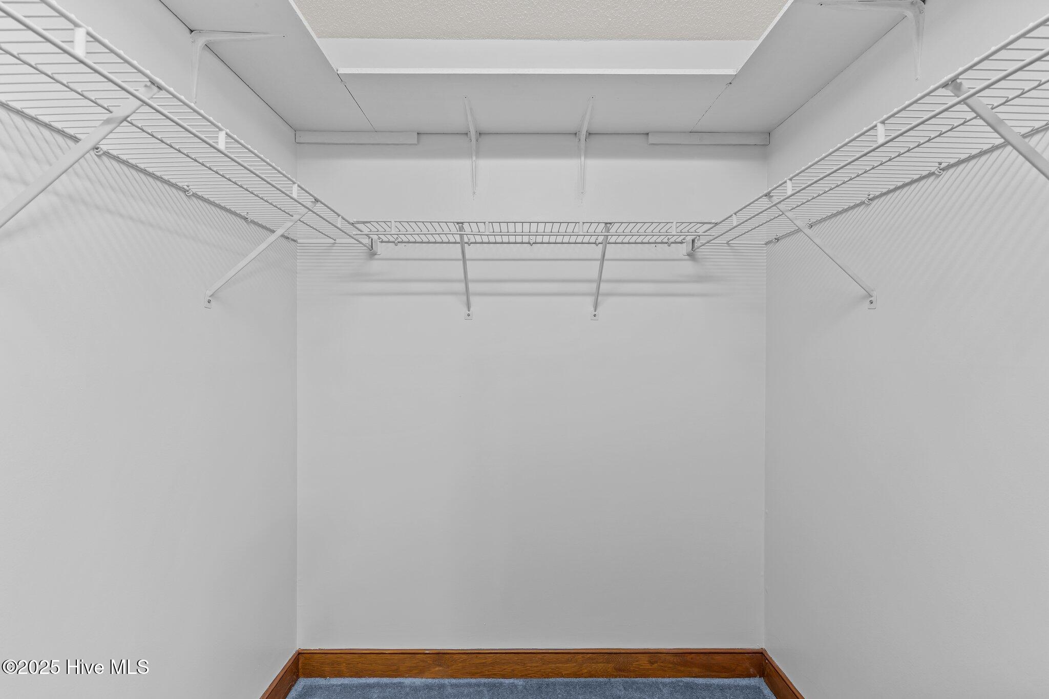 100514247 | Photo 18