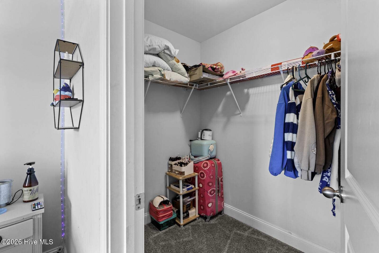 100565917 | Photo 36