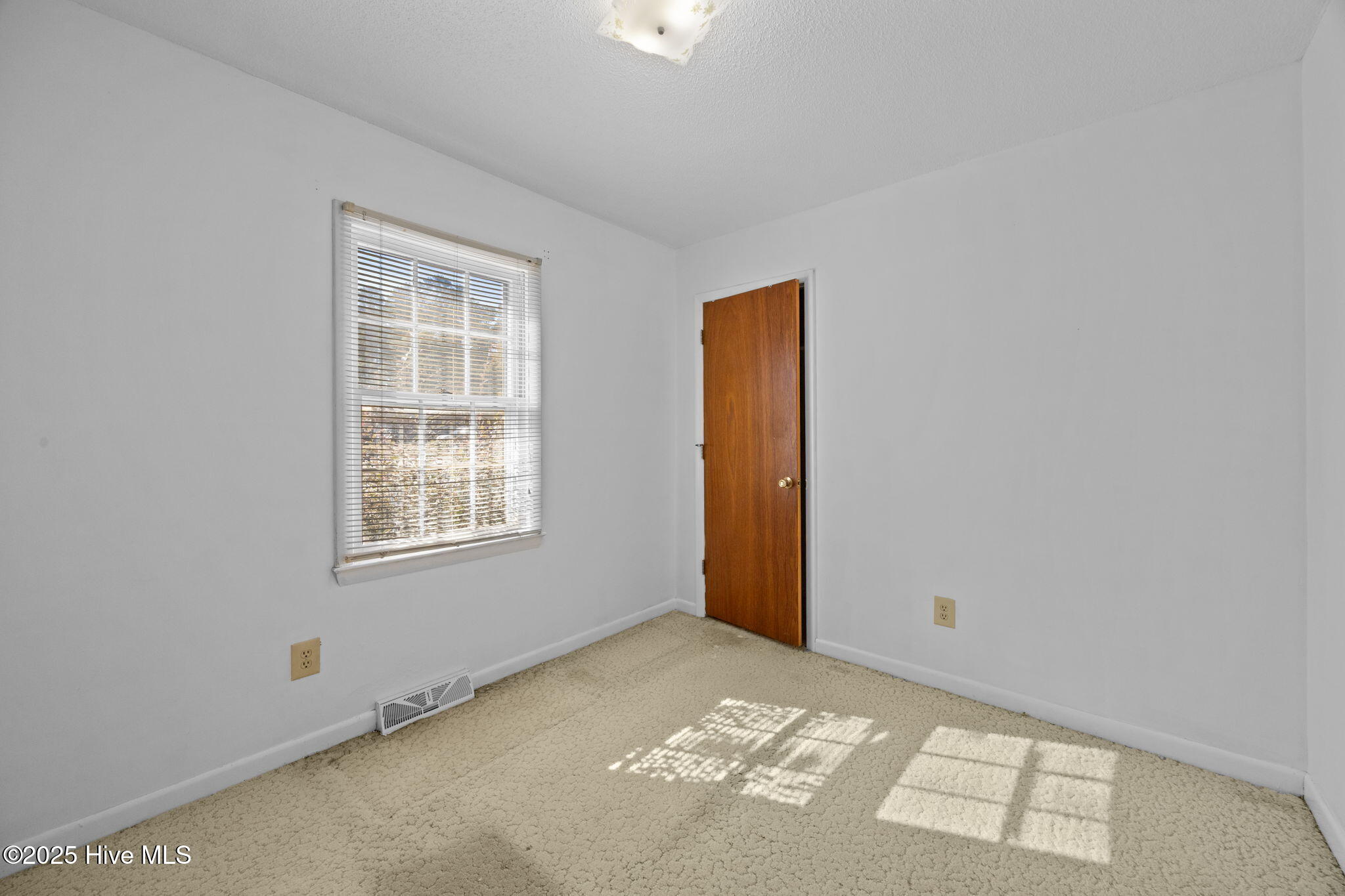 100542323 | Photo 12