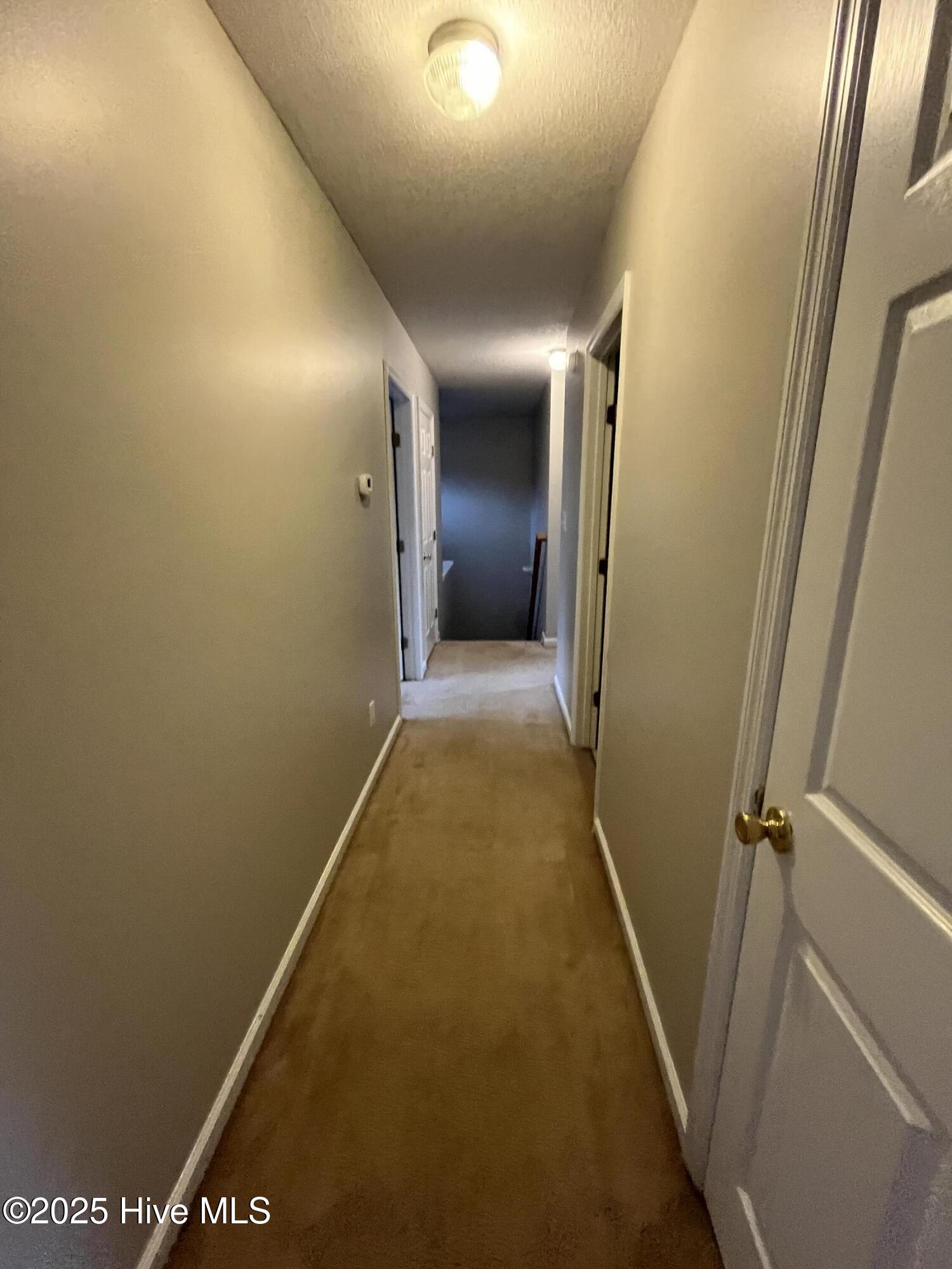 100546004 | Photo 22