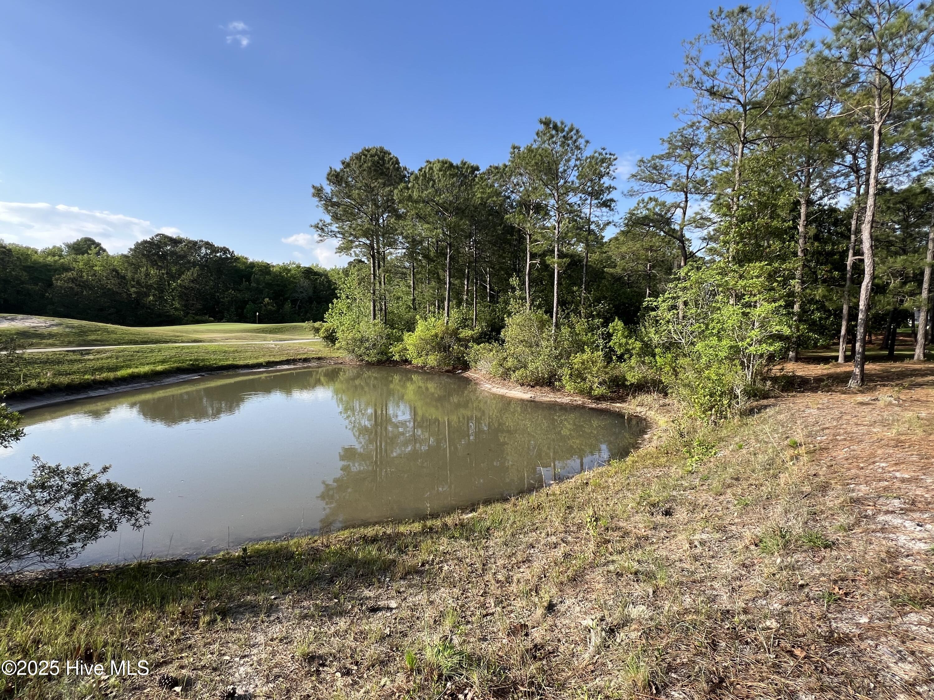 100506027 | Photo 18