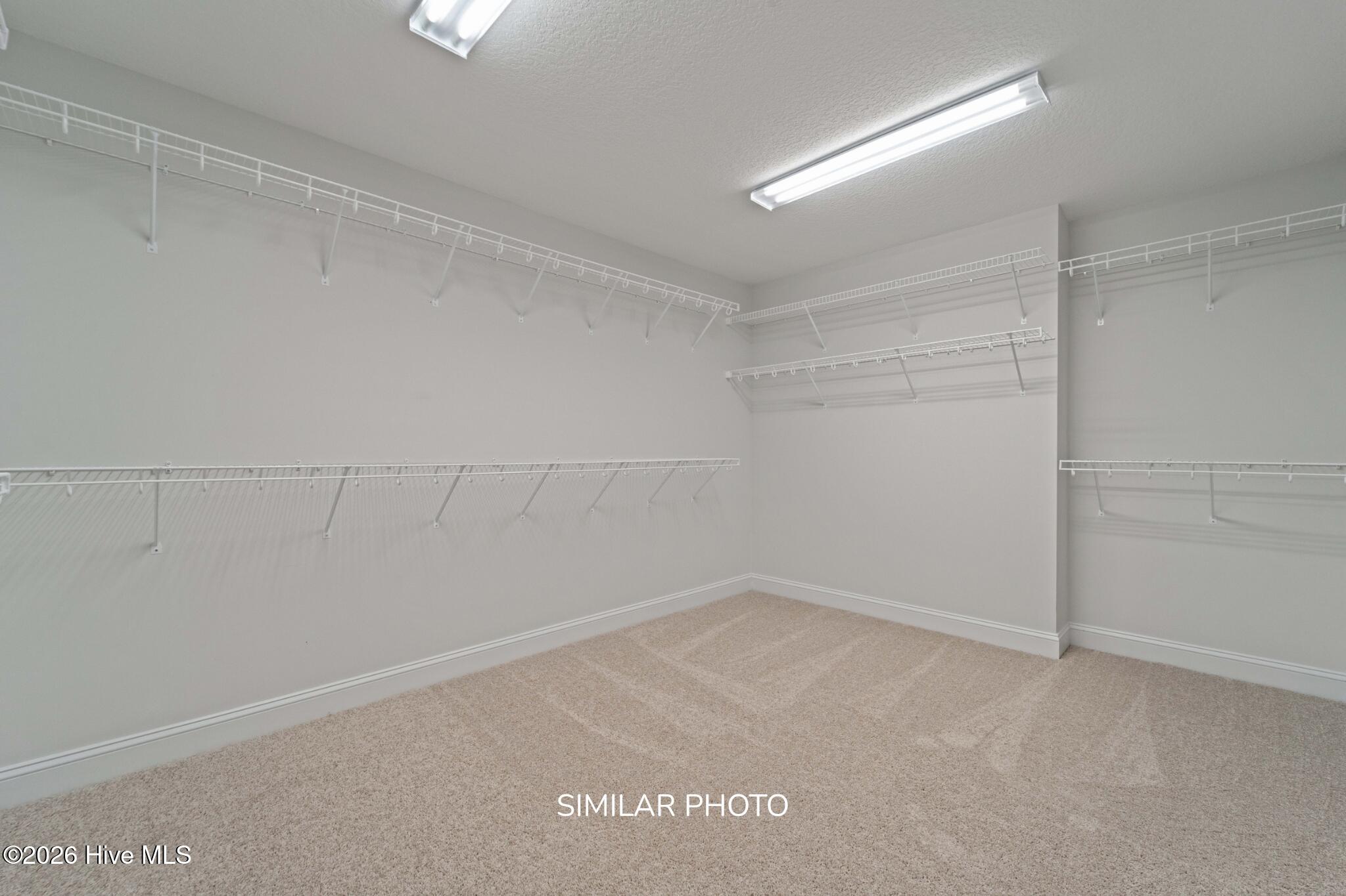 100563163 | Photo 21