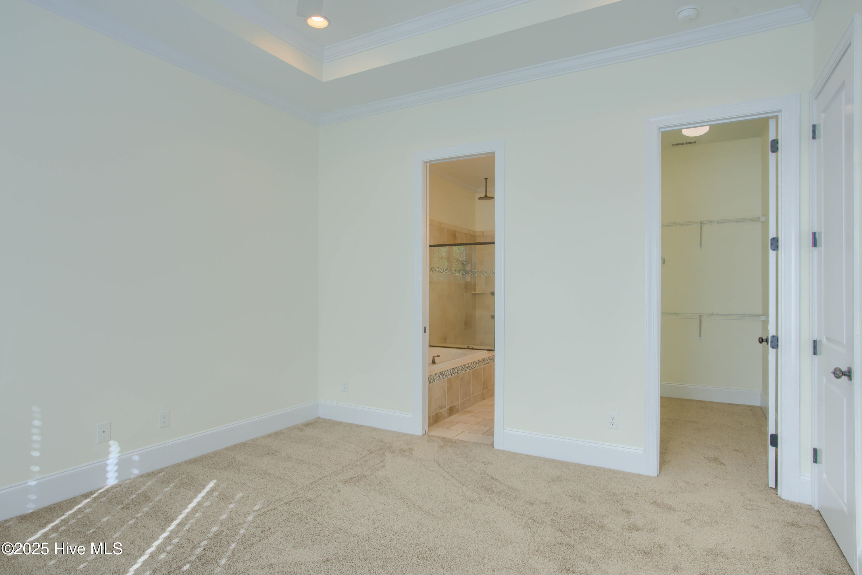 100545720 | Photo 17