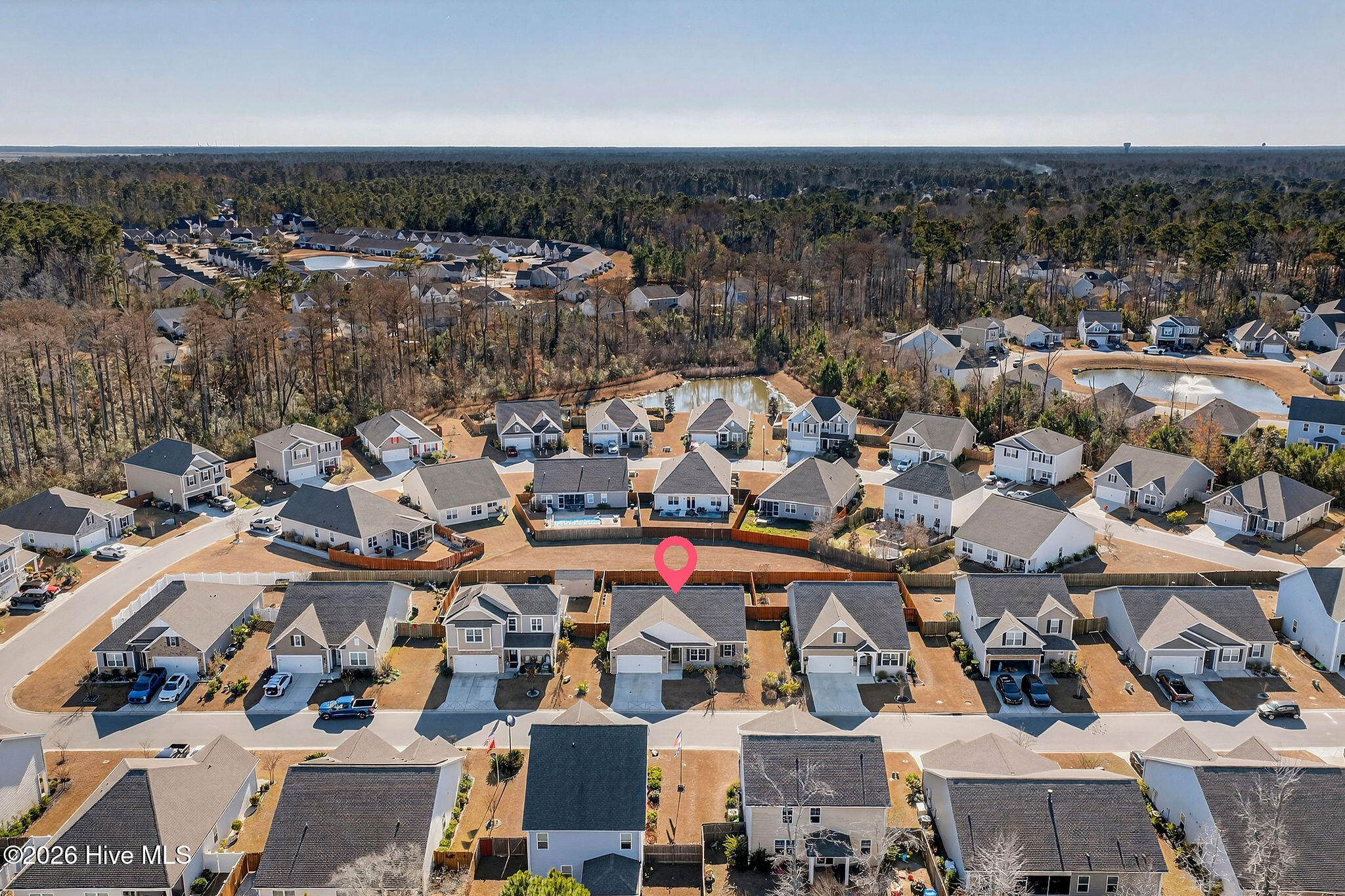 100547233 | Photo 43