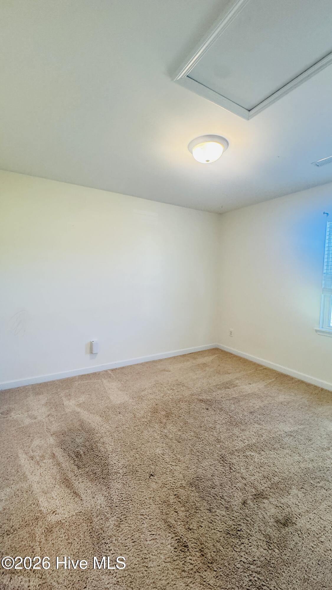 100563826 | Photo 12