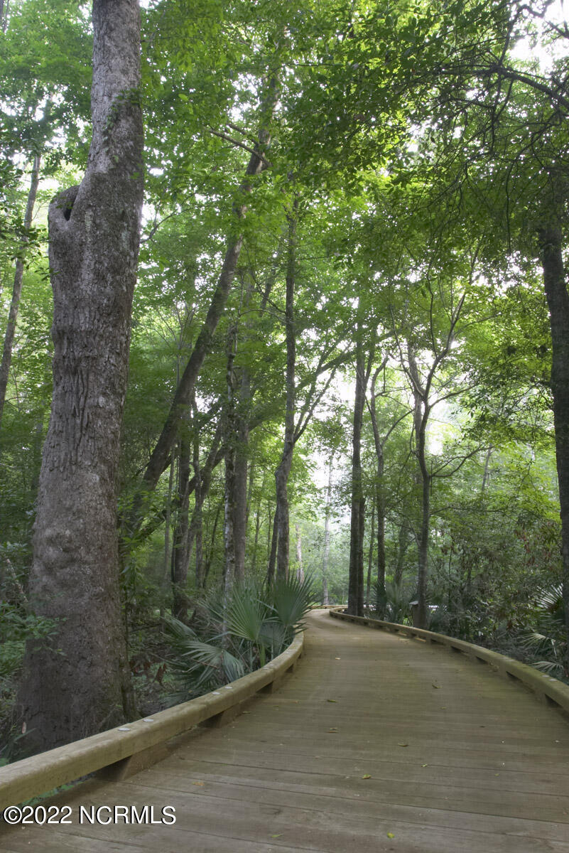 100560329 | Photo 15