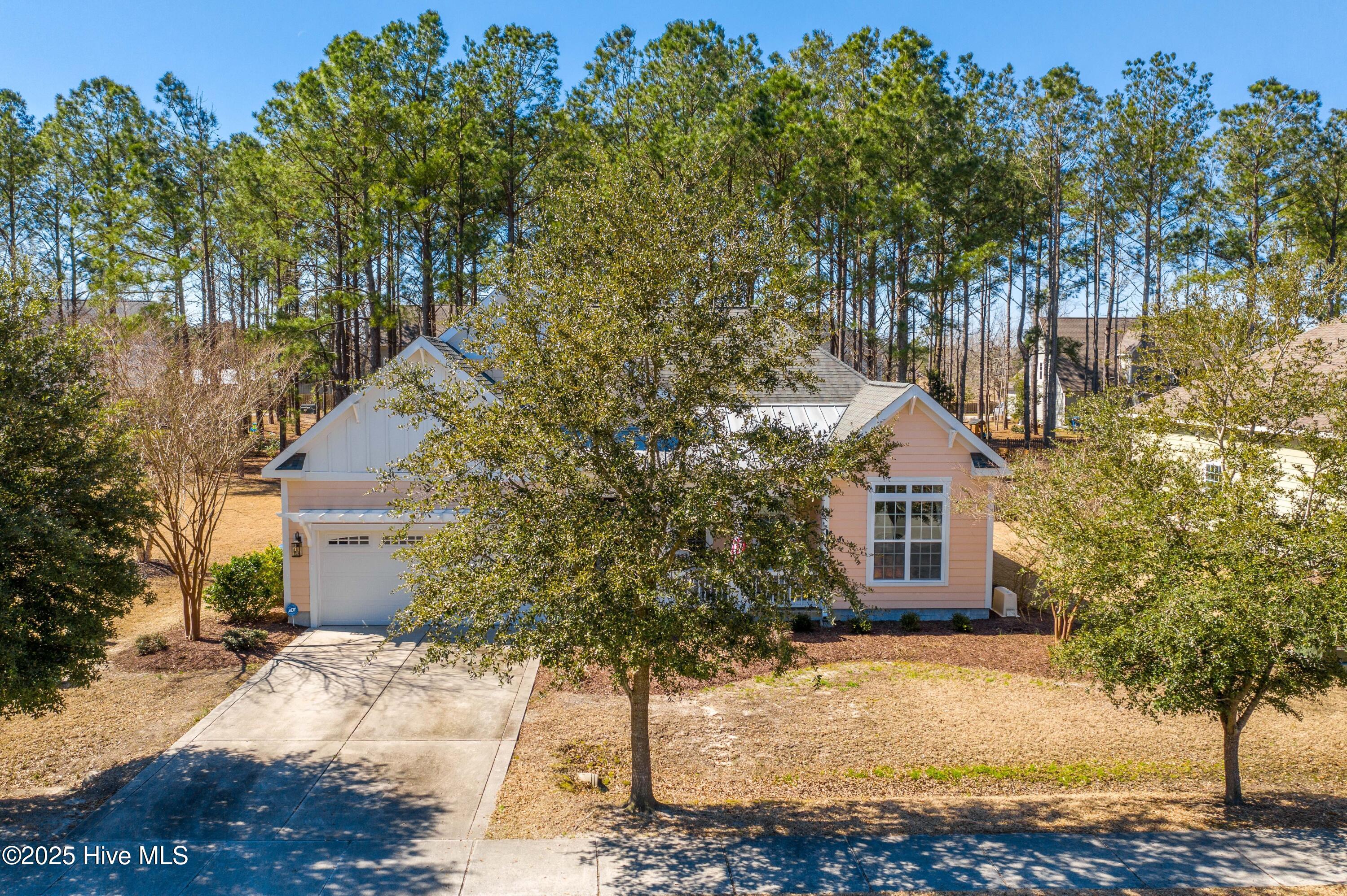 100570166 | Photo 13