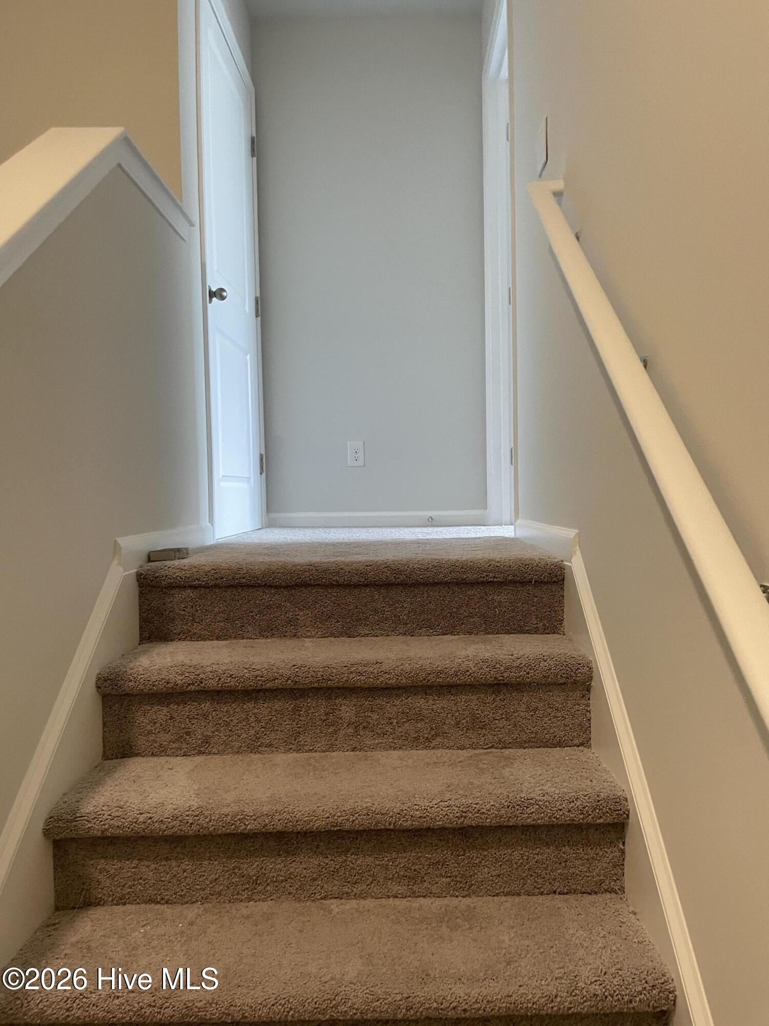 100548569 | Photo 23