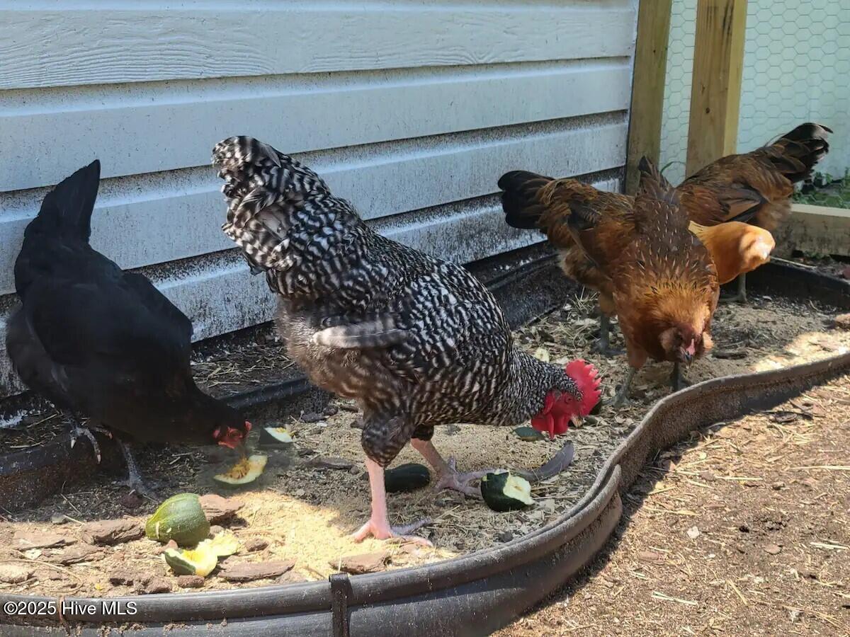 100545652 | Photo 29