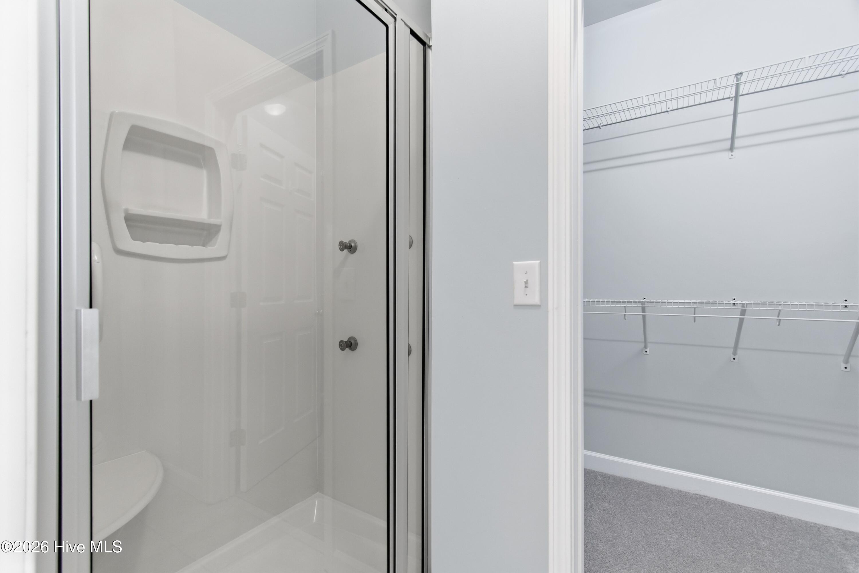 100555748 | Photo 38