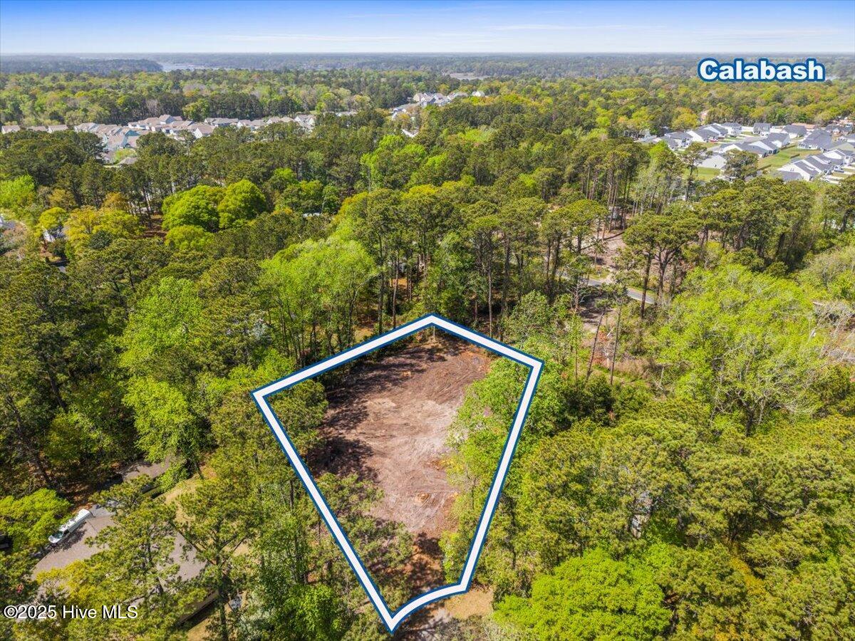 100499822 | Photo 14