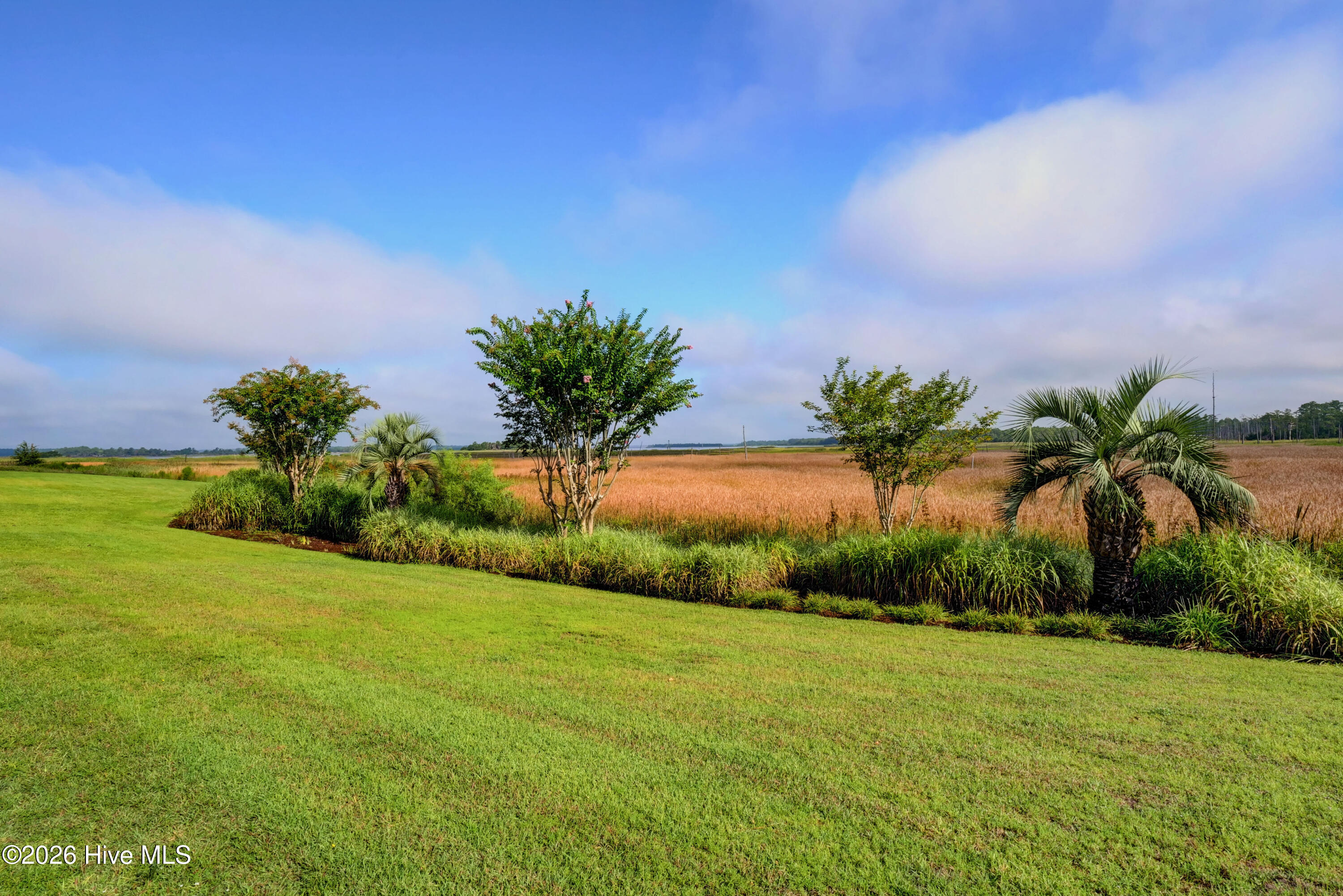 100552193 | Photo 27