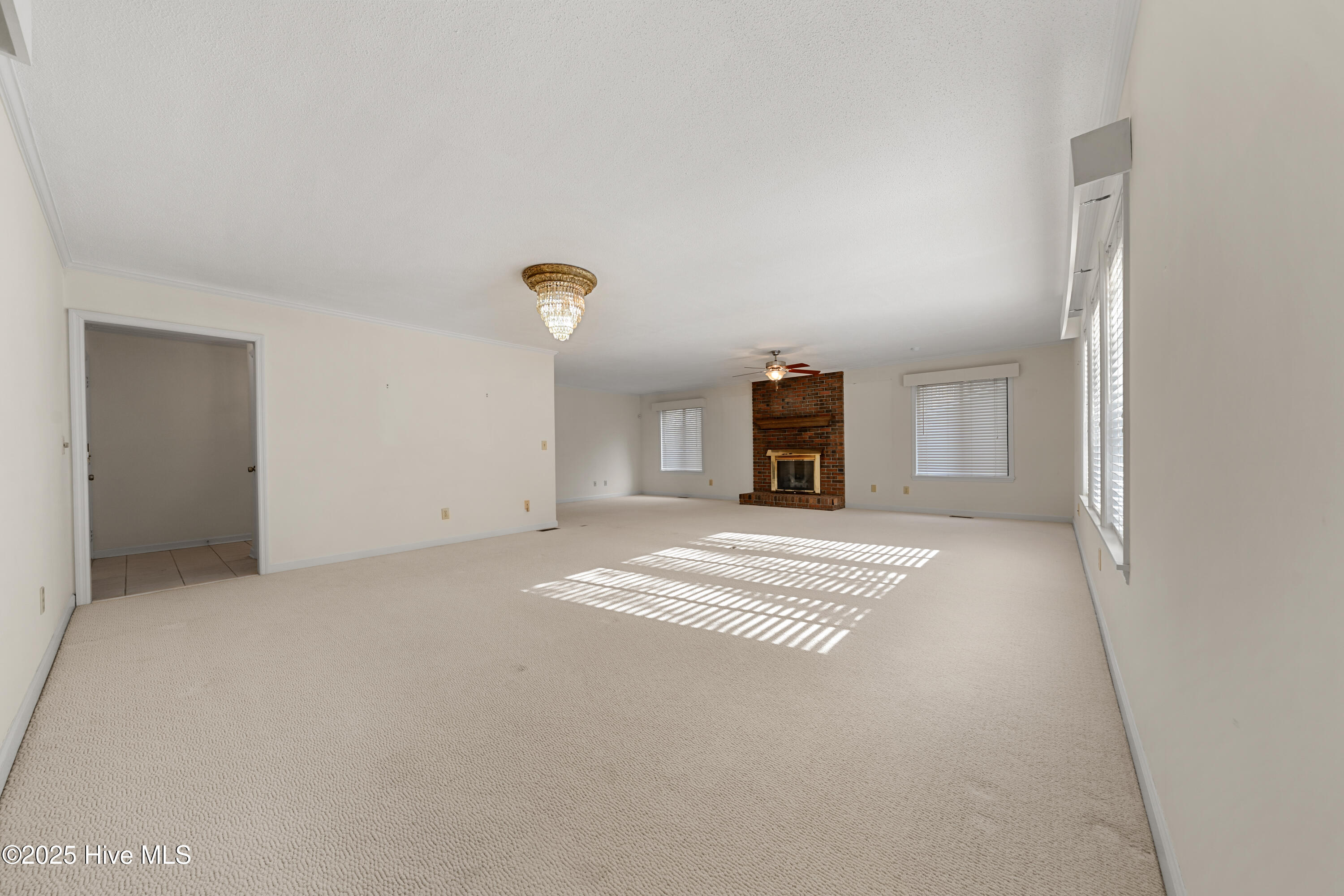 100542635 | Photo 11