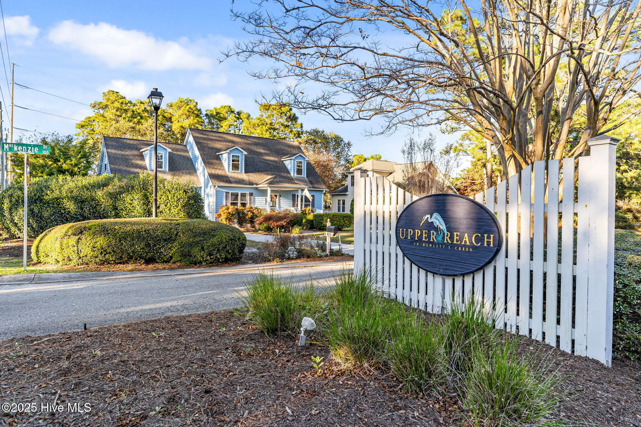 100539948 | Photo 50