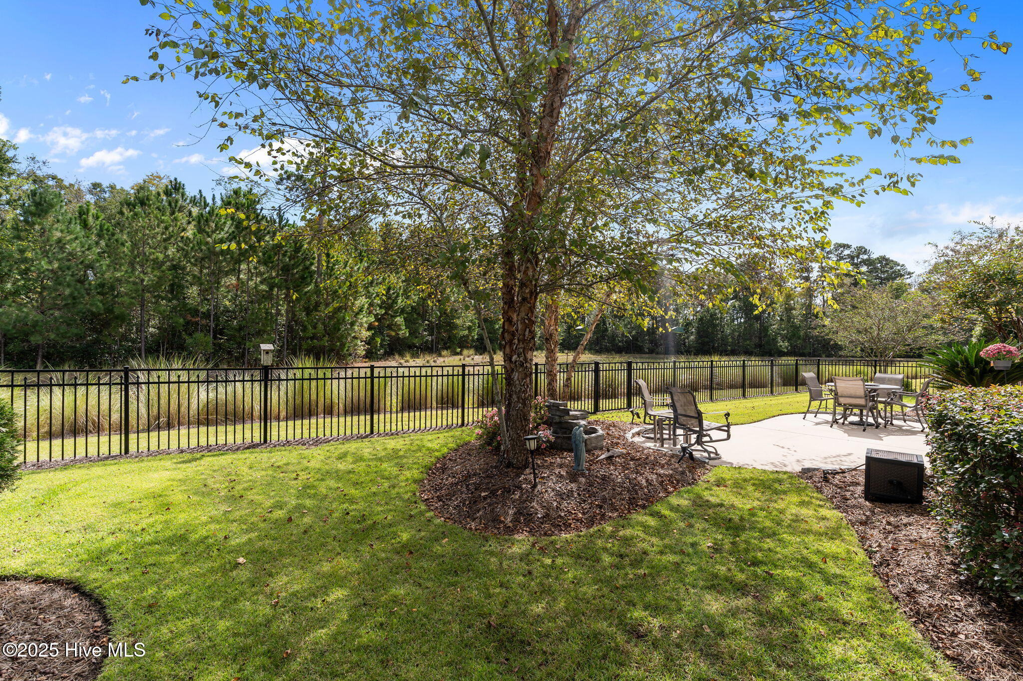 100552271 | Photo 43