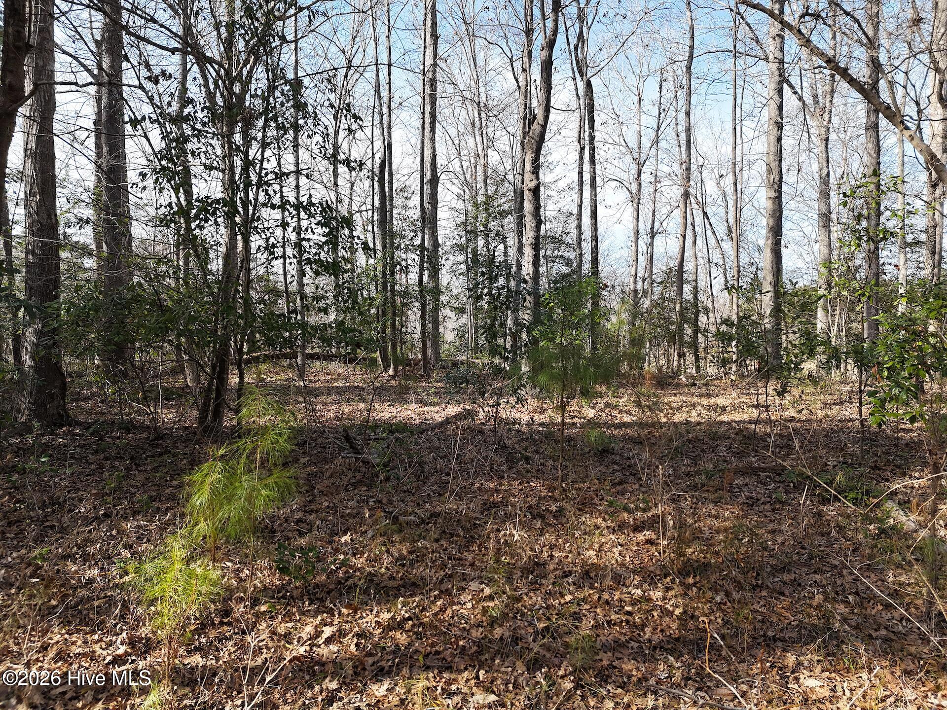 100556316 | Photo 13