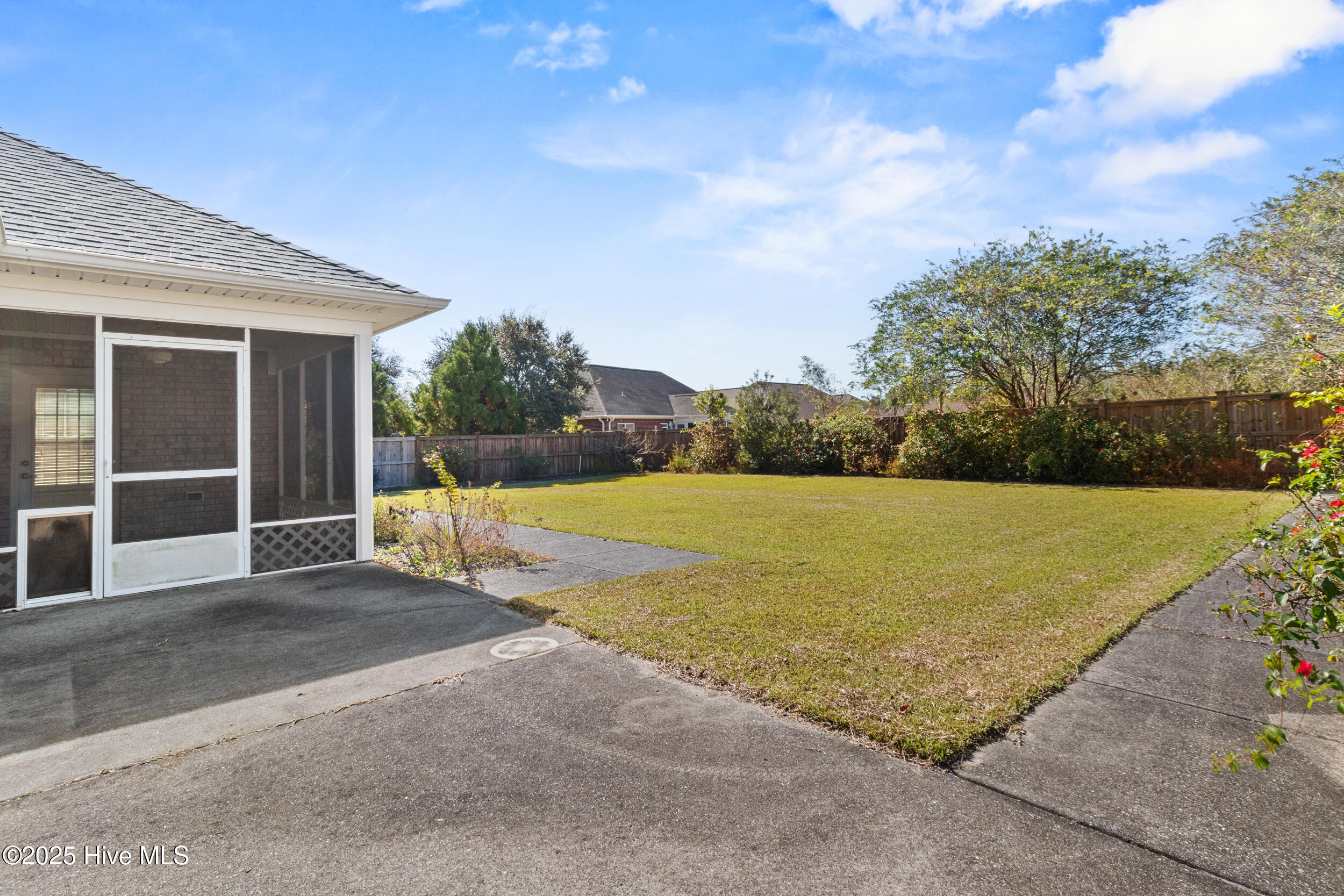 100537389 | Photo 38