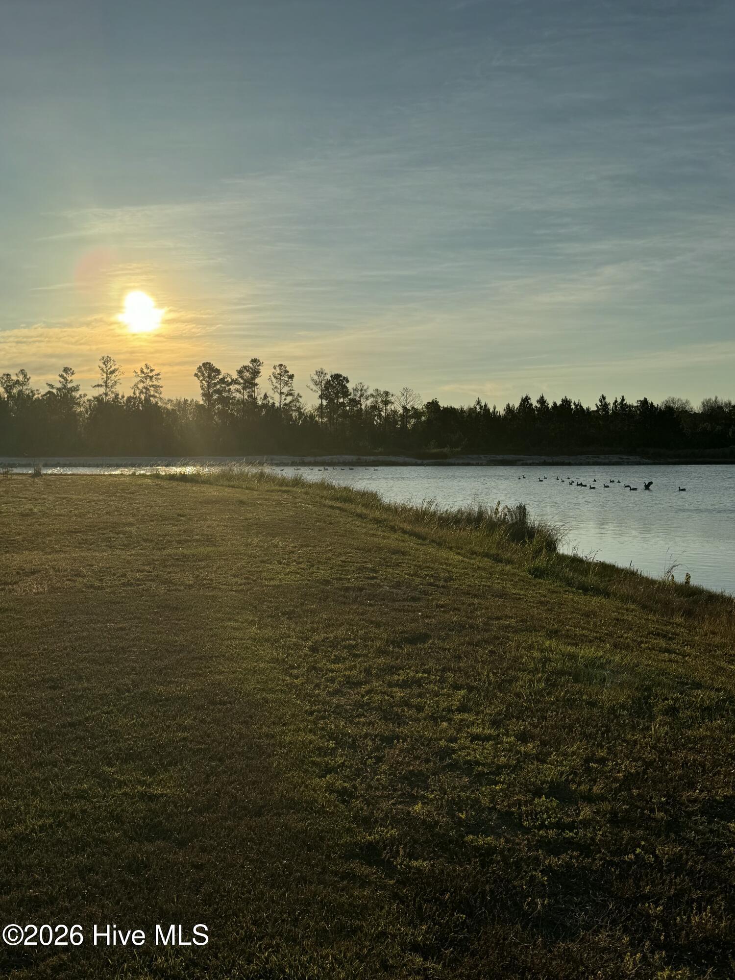 100561884 | Photo 10