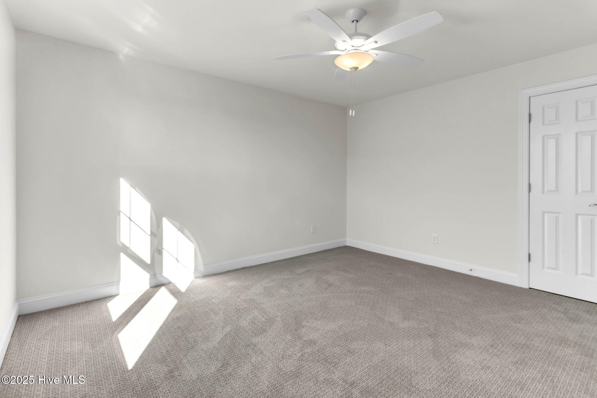 100543605 | Photo 38