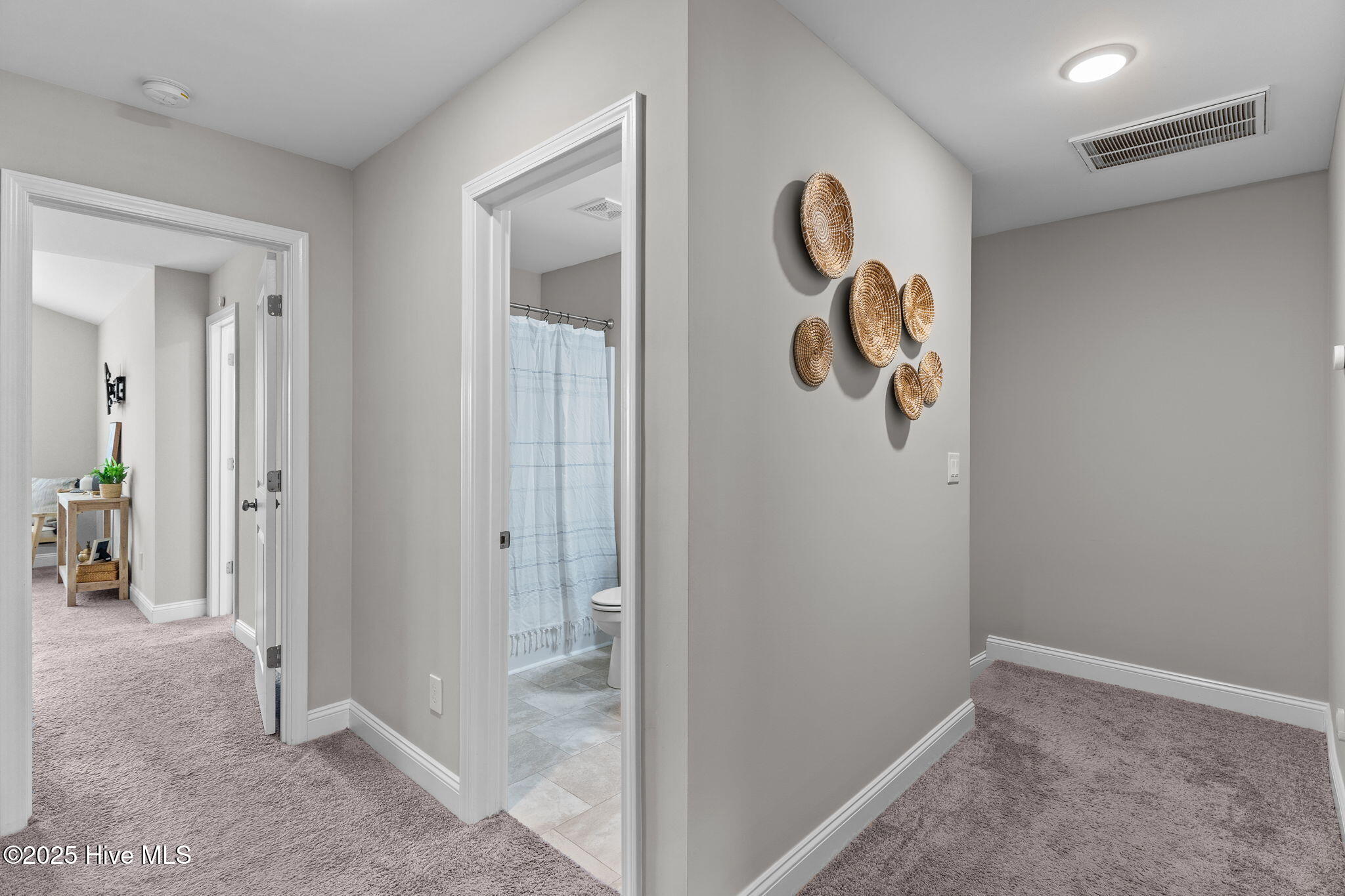1527 Grey Cliff, Wilmington, NC 28405 – photo 16: 16-upstairs_hallway