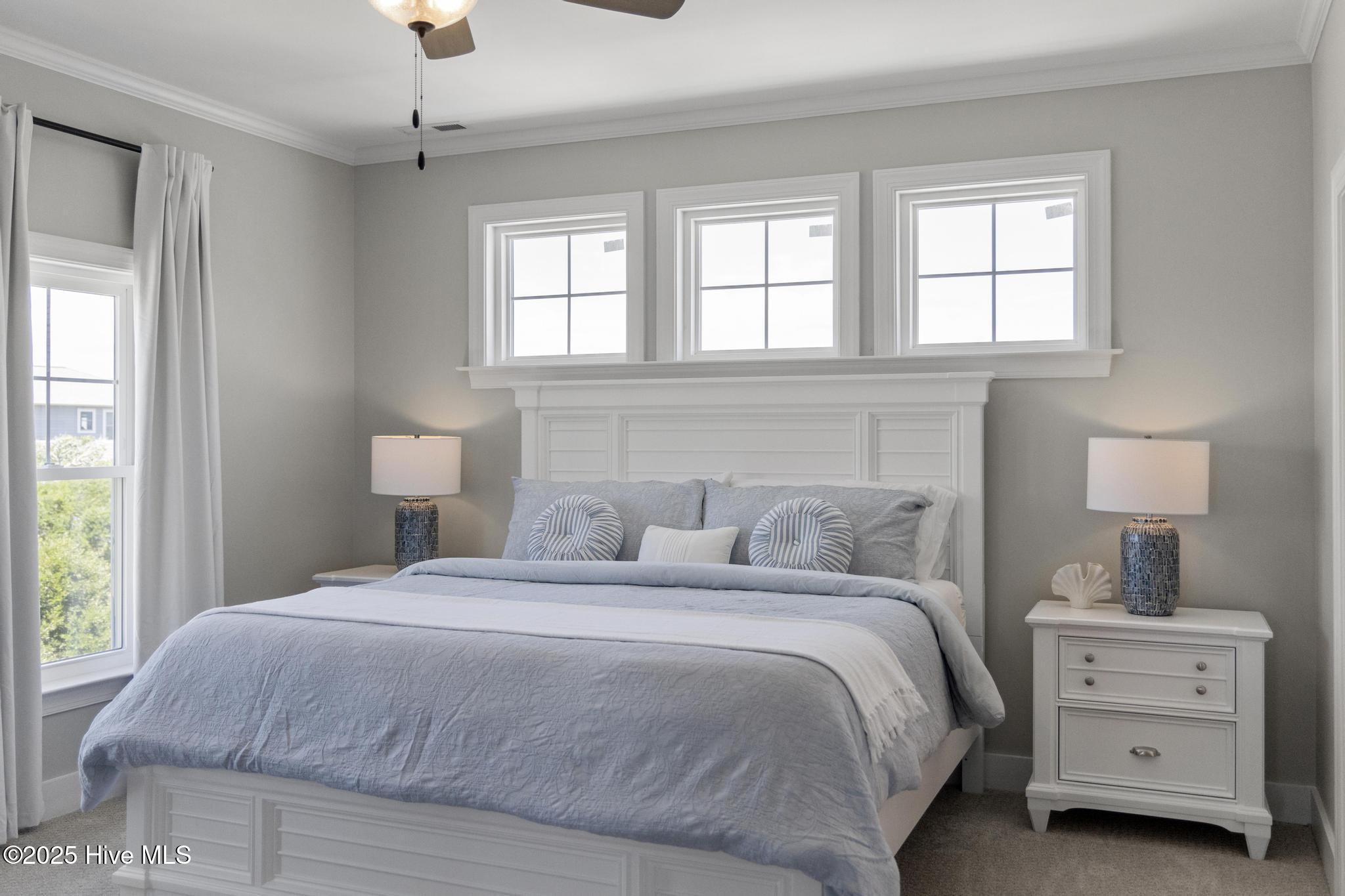 100498543 | Photo 91