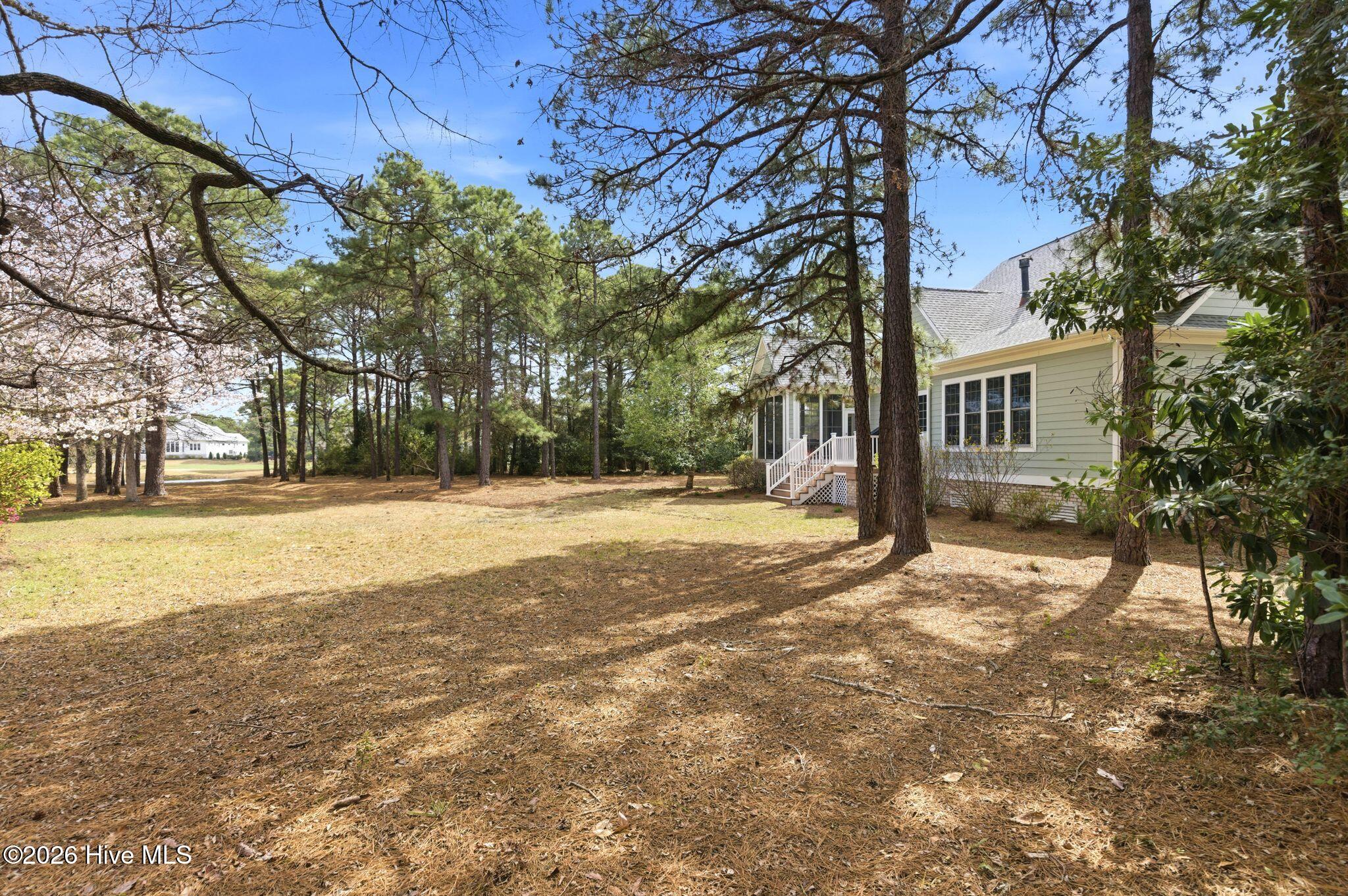 100564231 | Photo 64