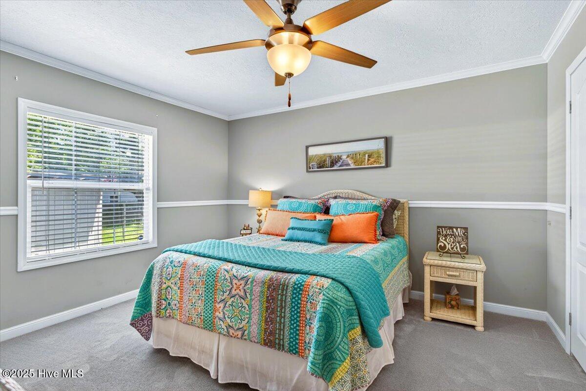 100517576 | Photo 19