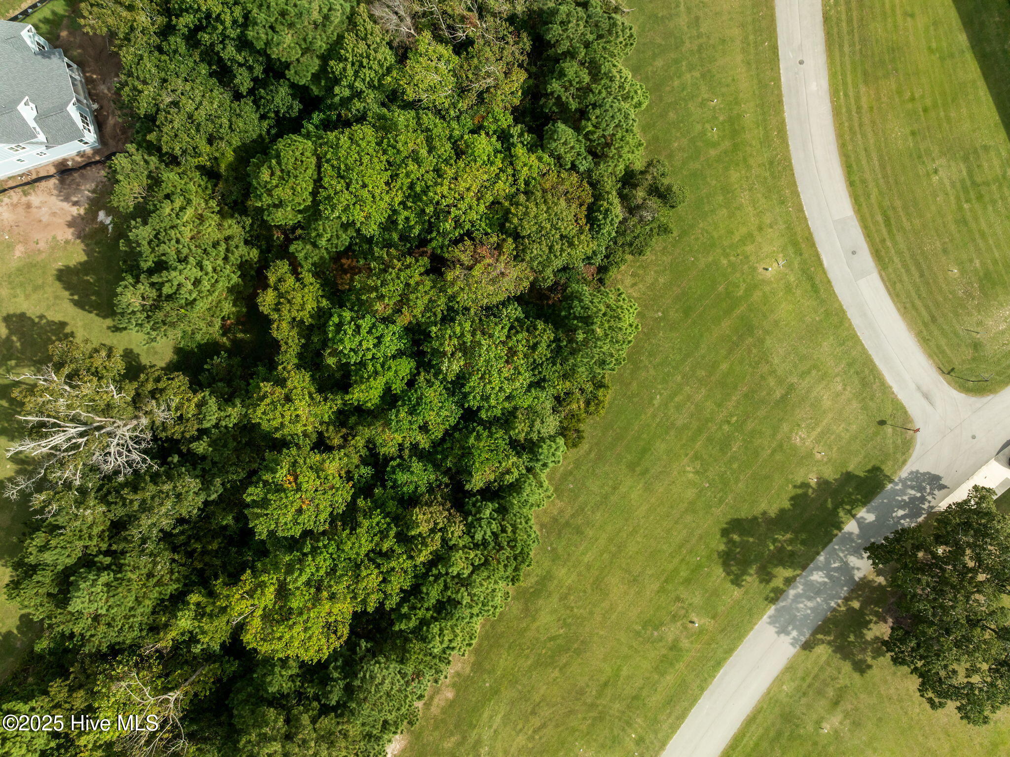 100564274 | Photo 14