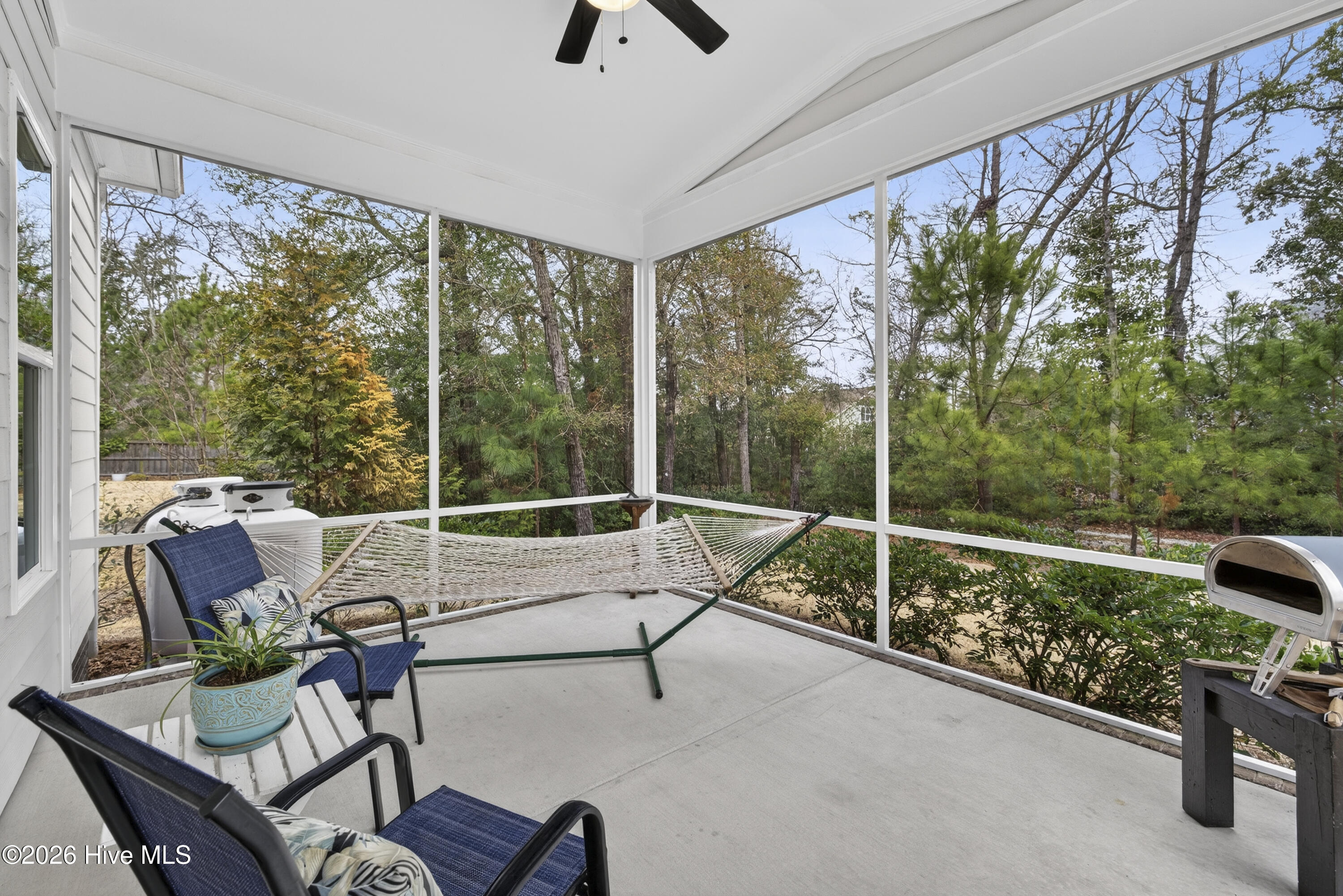 100558157 | Photo 39