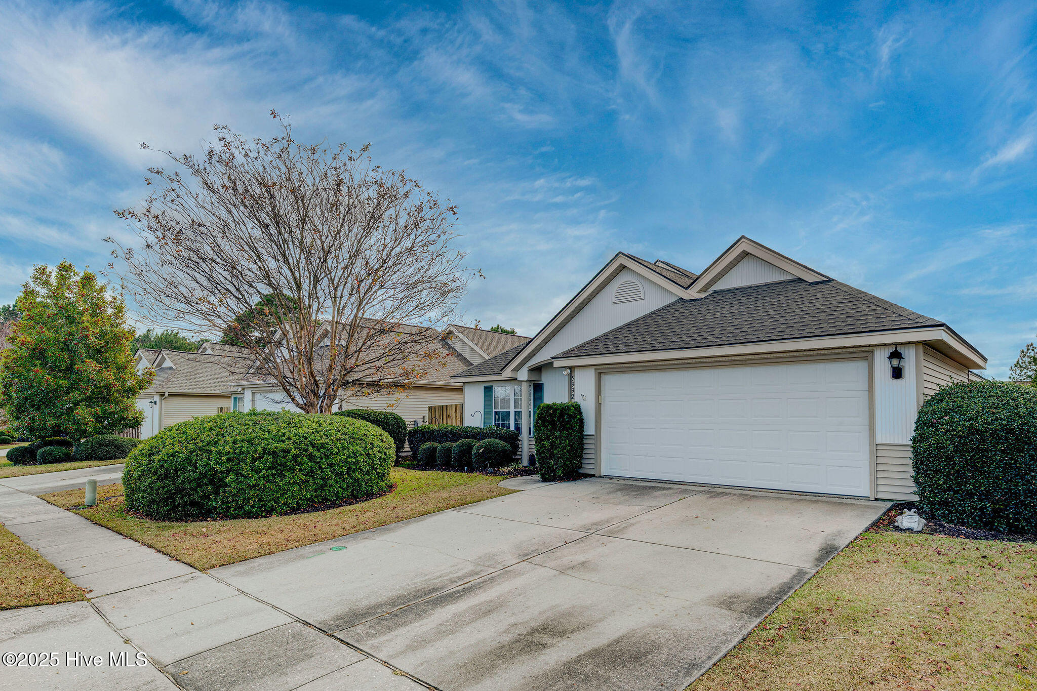 100543269 | Photo 31