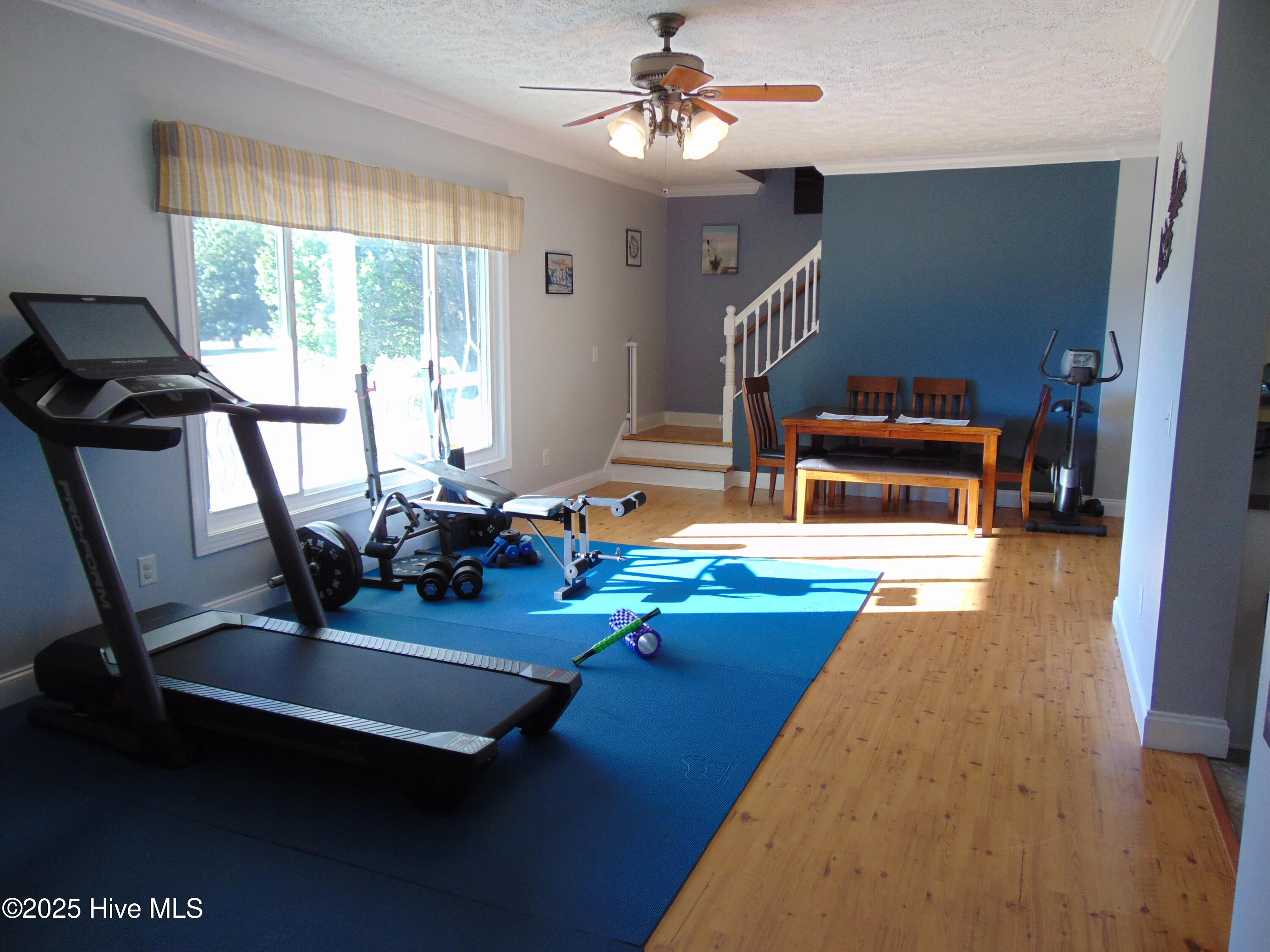 13619 Us Highway 258, Scotland Neck, NC, 27874