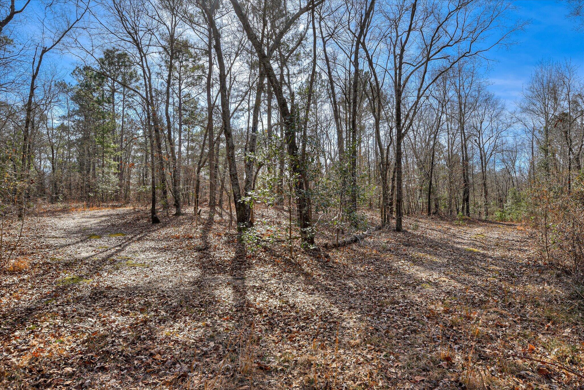 Tract 2 Day Road, Aiken, SC, 29801