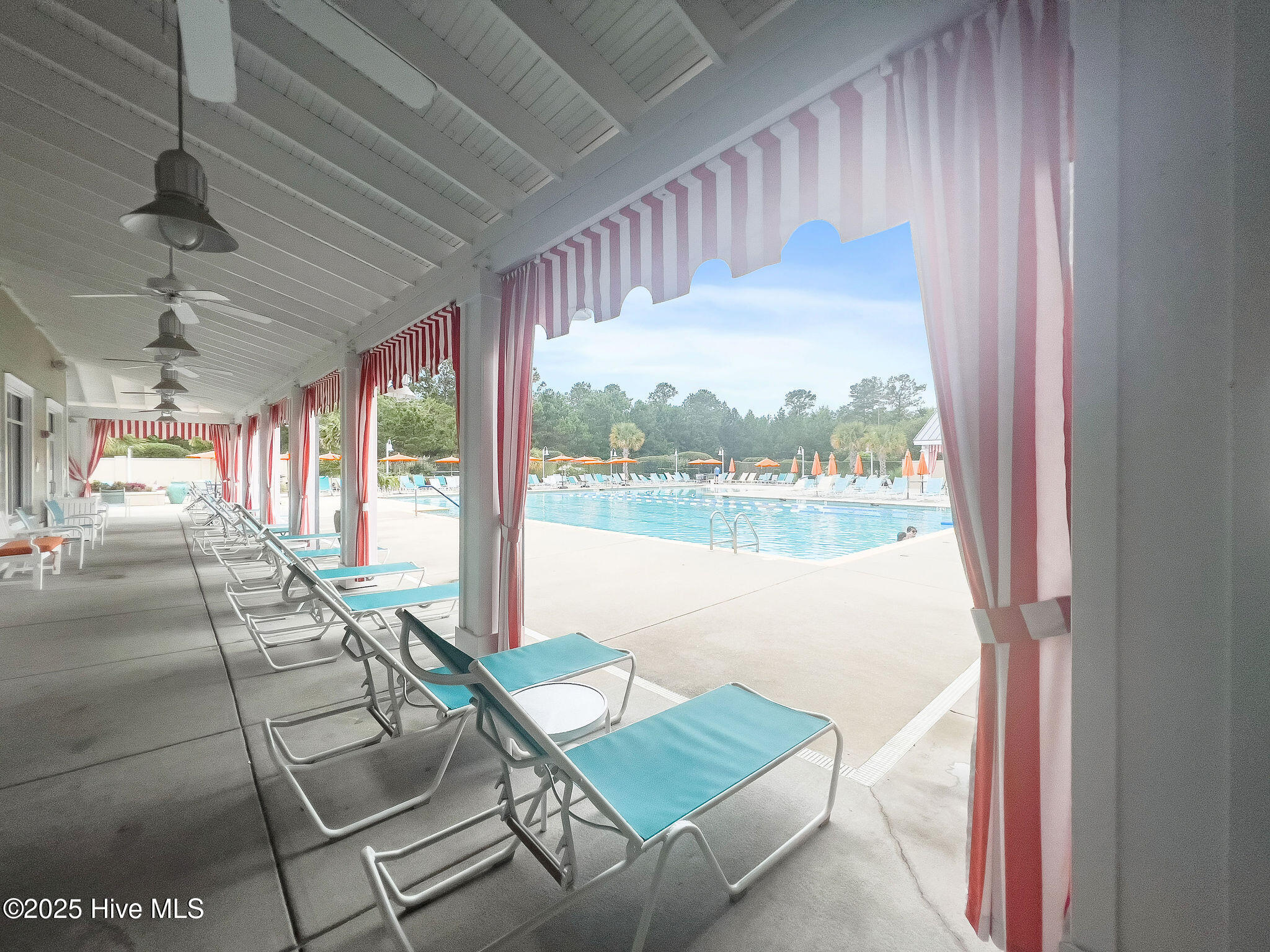 100523892 | Photo 78