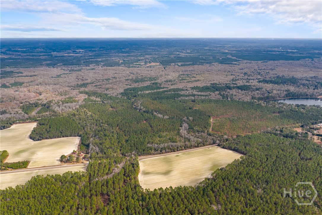 1000 Old River Road S, Brooklet, GA, 30415